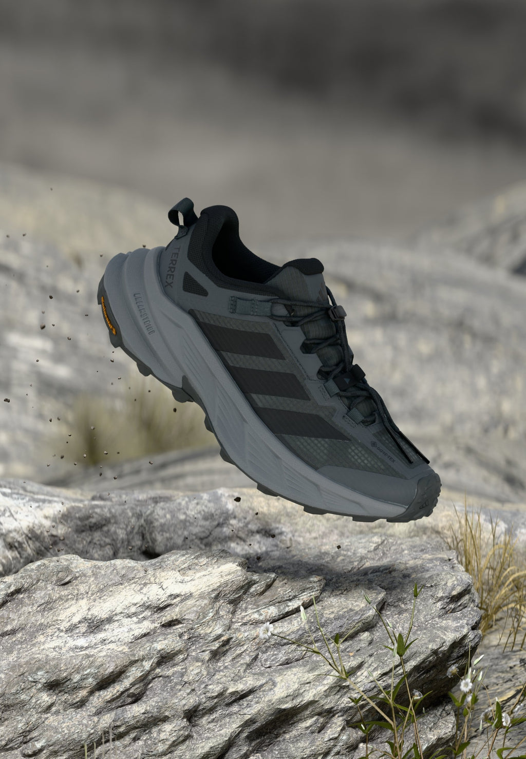 TERREX FREEHIKER SL GTX  W - Hiking shoes - grey six/core black/grey three