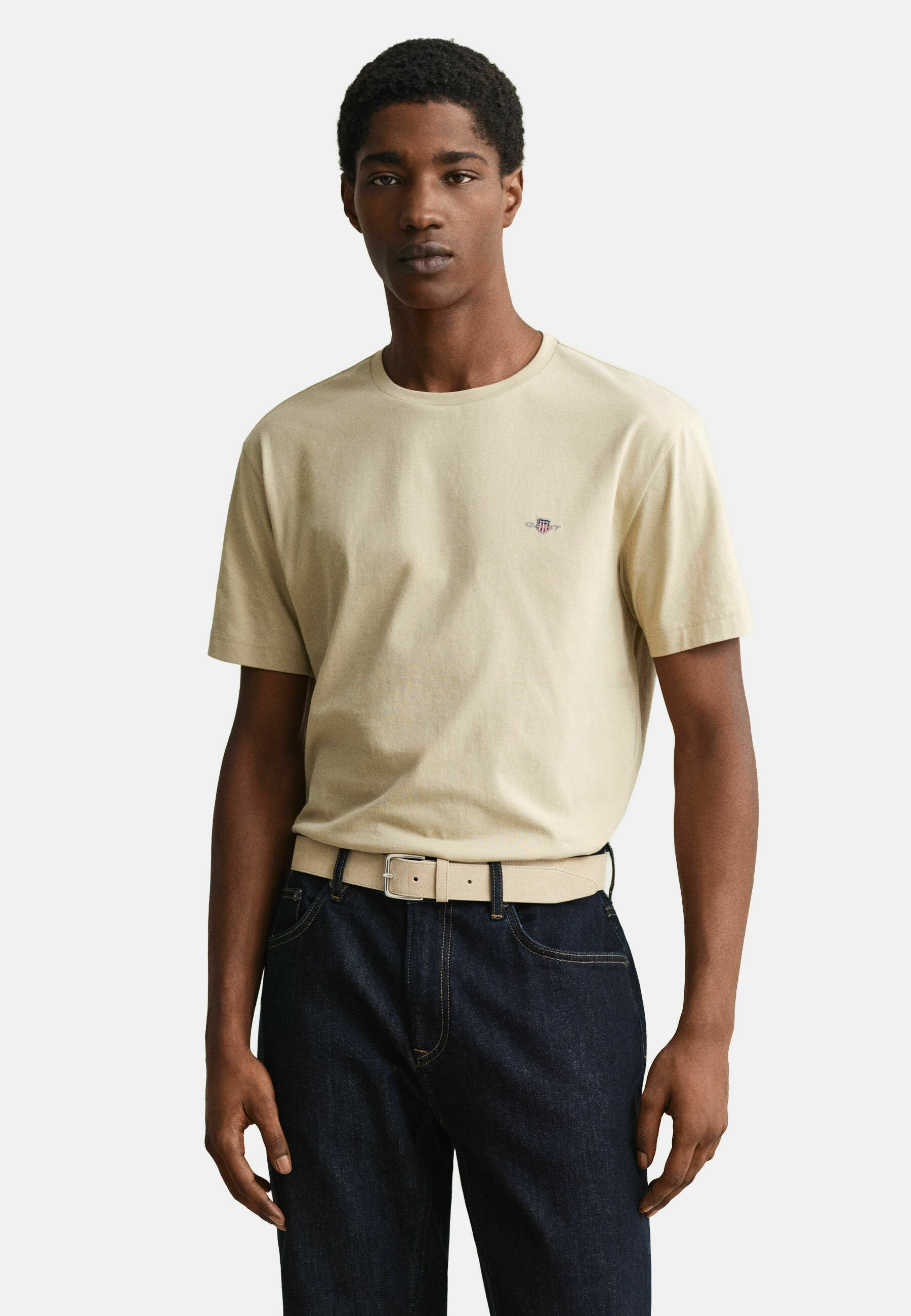 REG SHIELD SS T-SHIRT - Basic T-shirt - oat beige