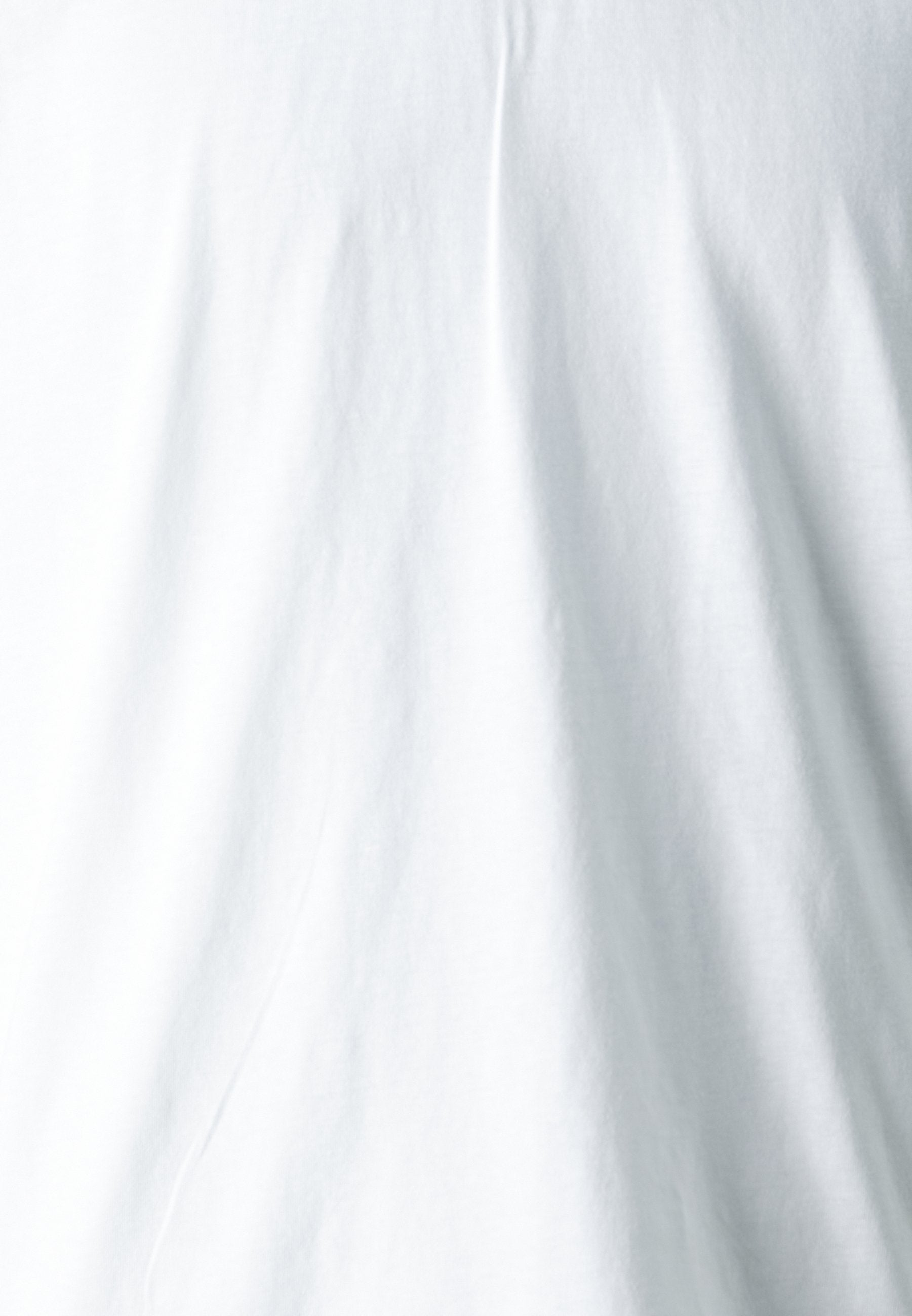 V NECK 2 PACK - Basic T-shirt - white