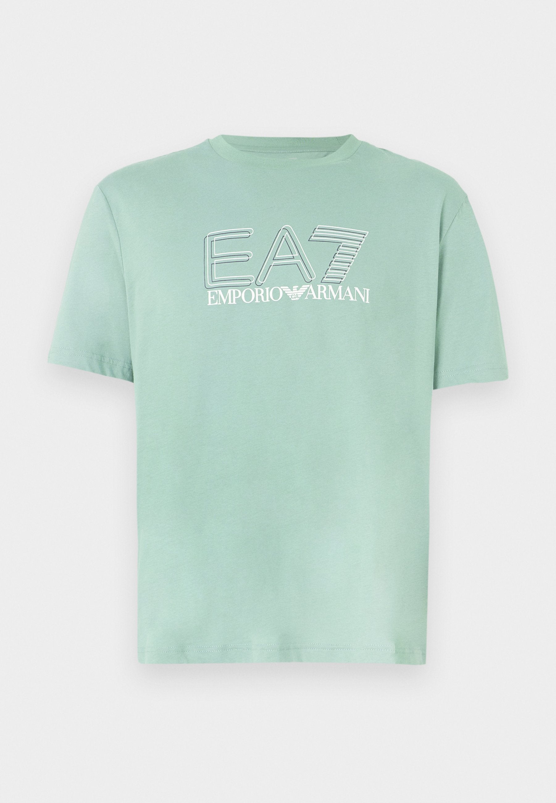 TRAIN VISIBILITY TEE UNISEX - Print T-shirt - green bay