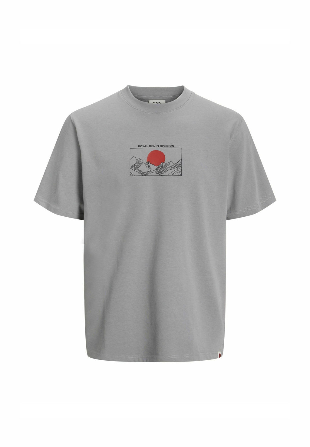RDD Printed - Print T-shirt - frost gray