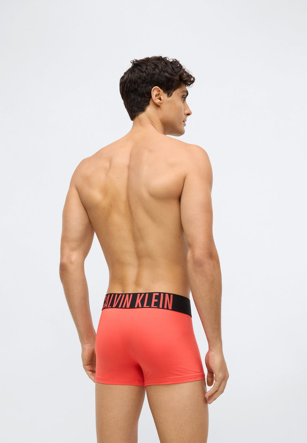 TRUNK 3 PACK INTENSE POWER MICROFIBER - Trunks - black/turbulence/vermillion brown