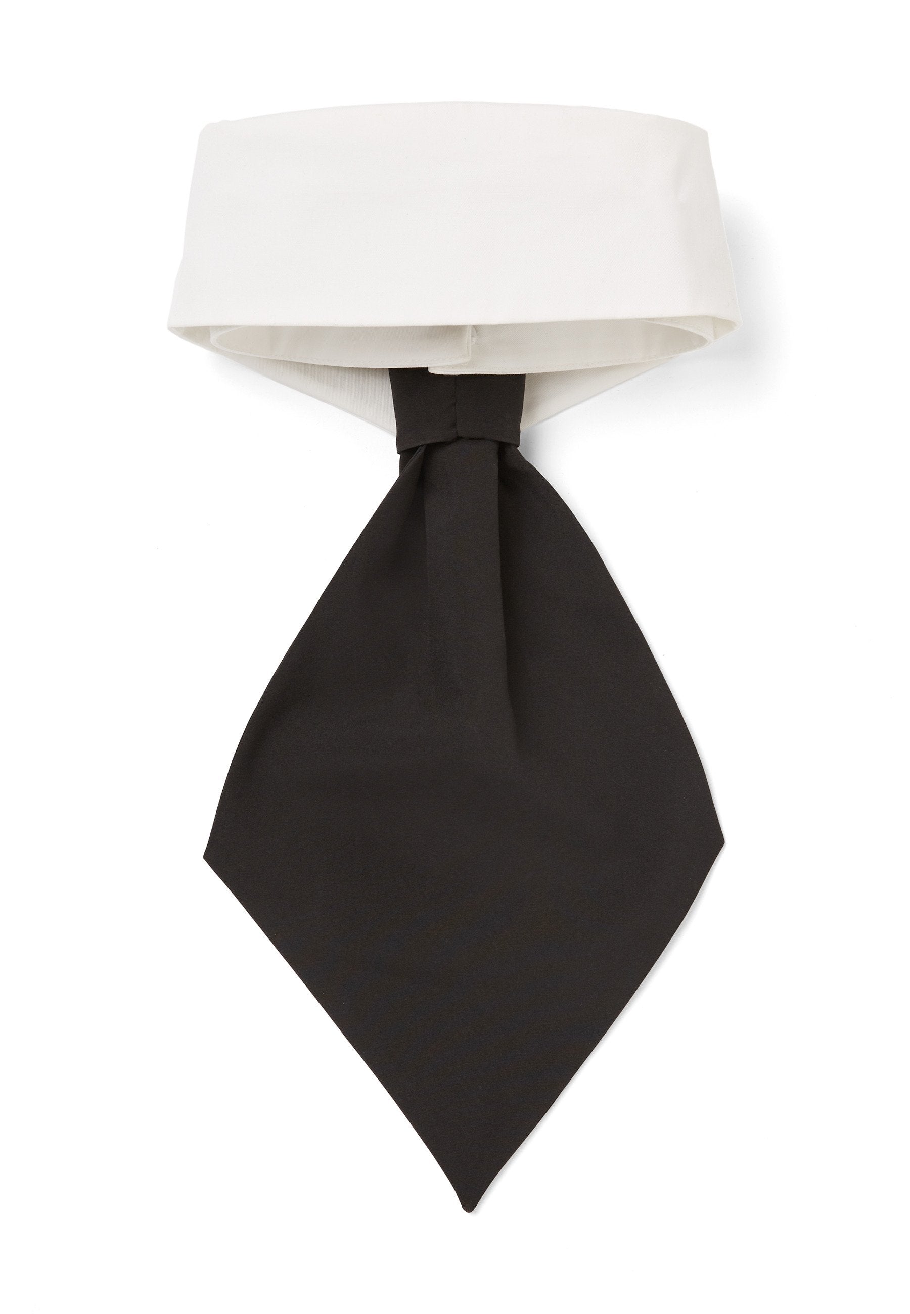 COLLAR AND TIE - Other accessories - white black
