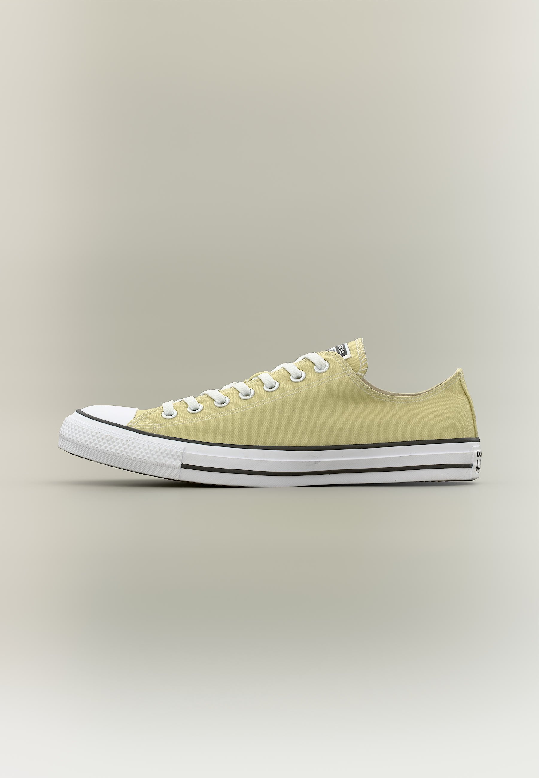 CHUCK TAYLOR ALL STAR UNISEX - Trainers - festival field