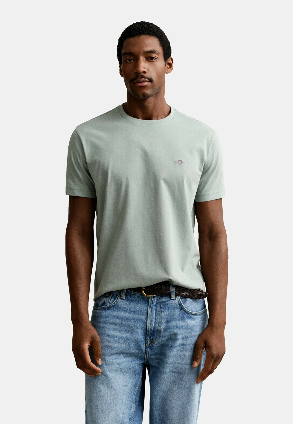 REG SHIELD SS T-SHIRT - Basic T-shirt - grau