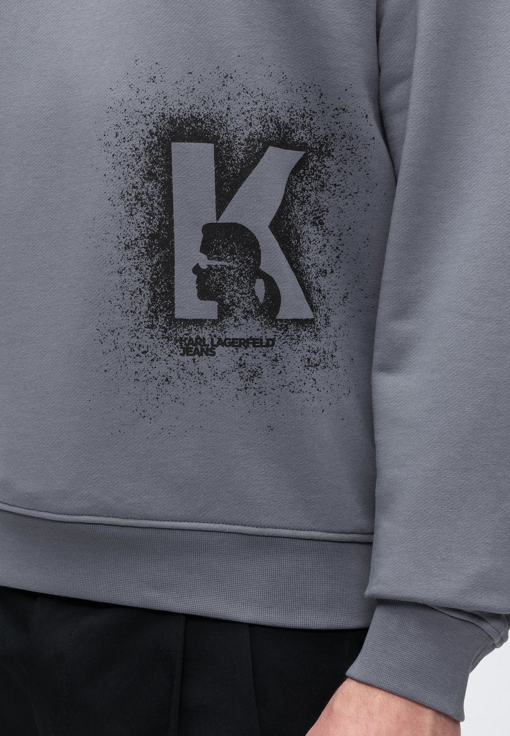 REG LOGO SWEAT - Sweatshirt - grisaille