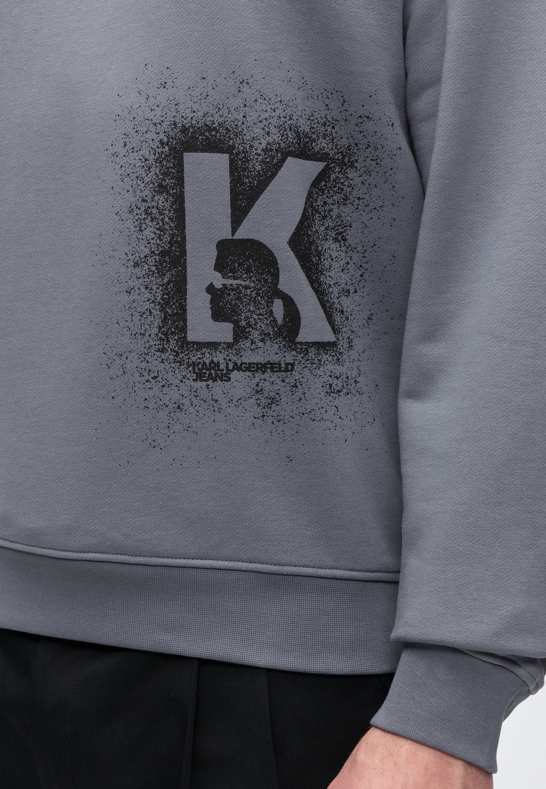 REG LOGO SWEAT - Sweatshirt - grisaille