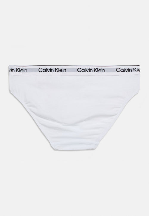 2 PACK - Briefs - bright white/dusted fox