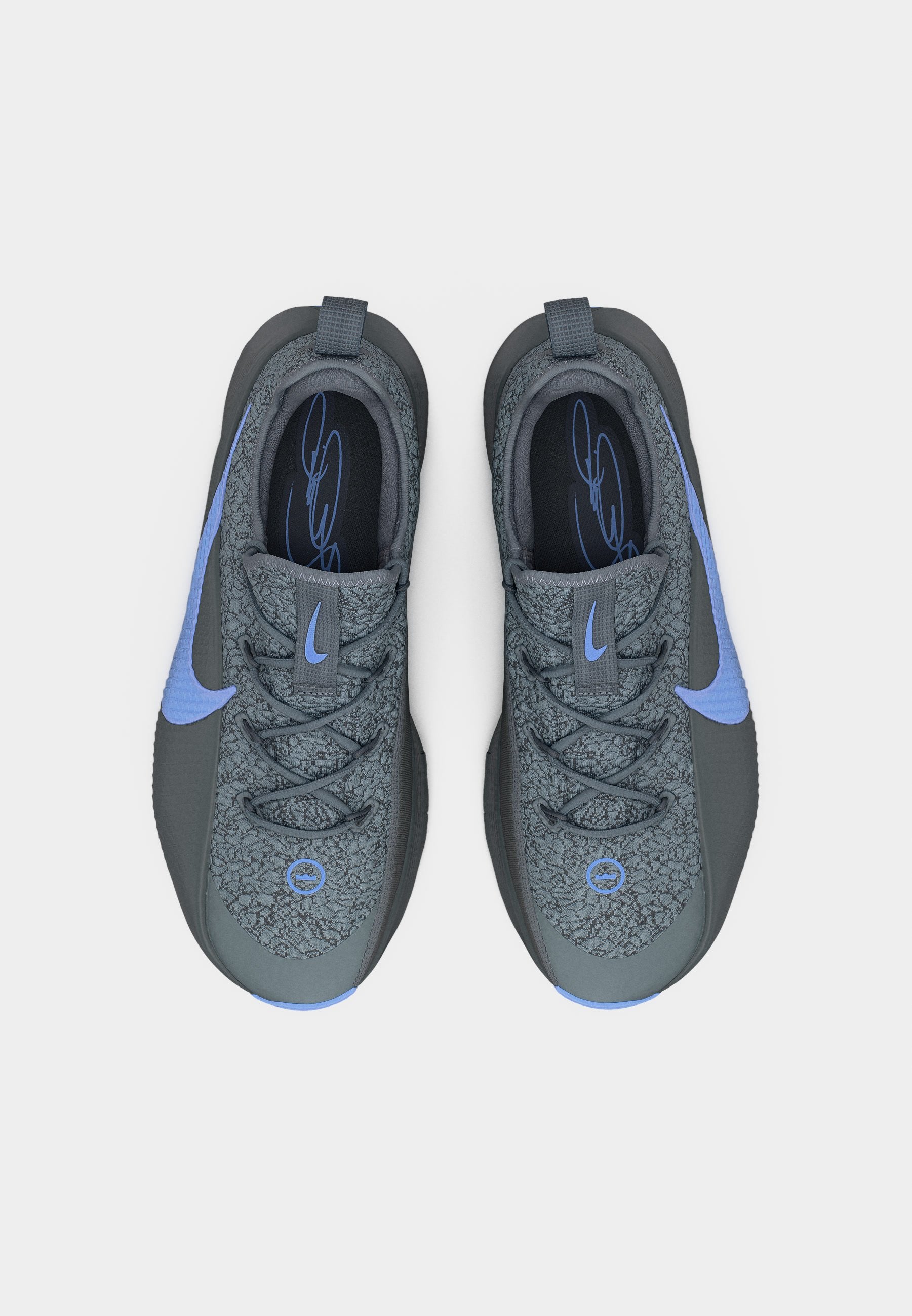 LEBRON TR 1 - Training shoe - cool grey/aluminum/iron grey