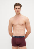 JACSOLID  10 PACKS - Trunks - grey/dark blue/green/bordeaux