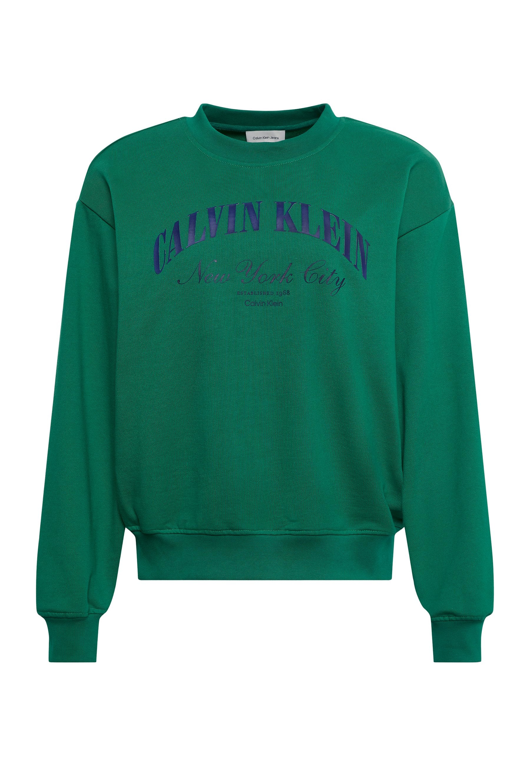 LOGO GRAPHIC CREWNECK  - Sweatshirt - enchanted forest