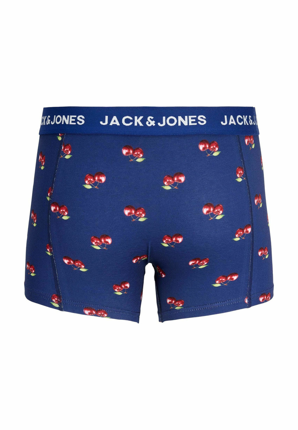 TRUNKS 5-PACK TRUNKS - Trunks - marina