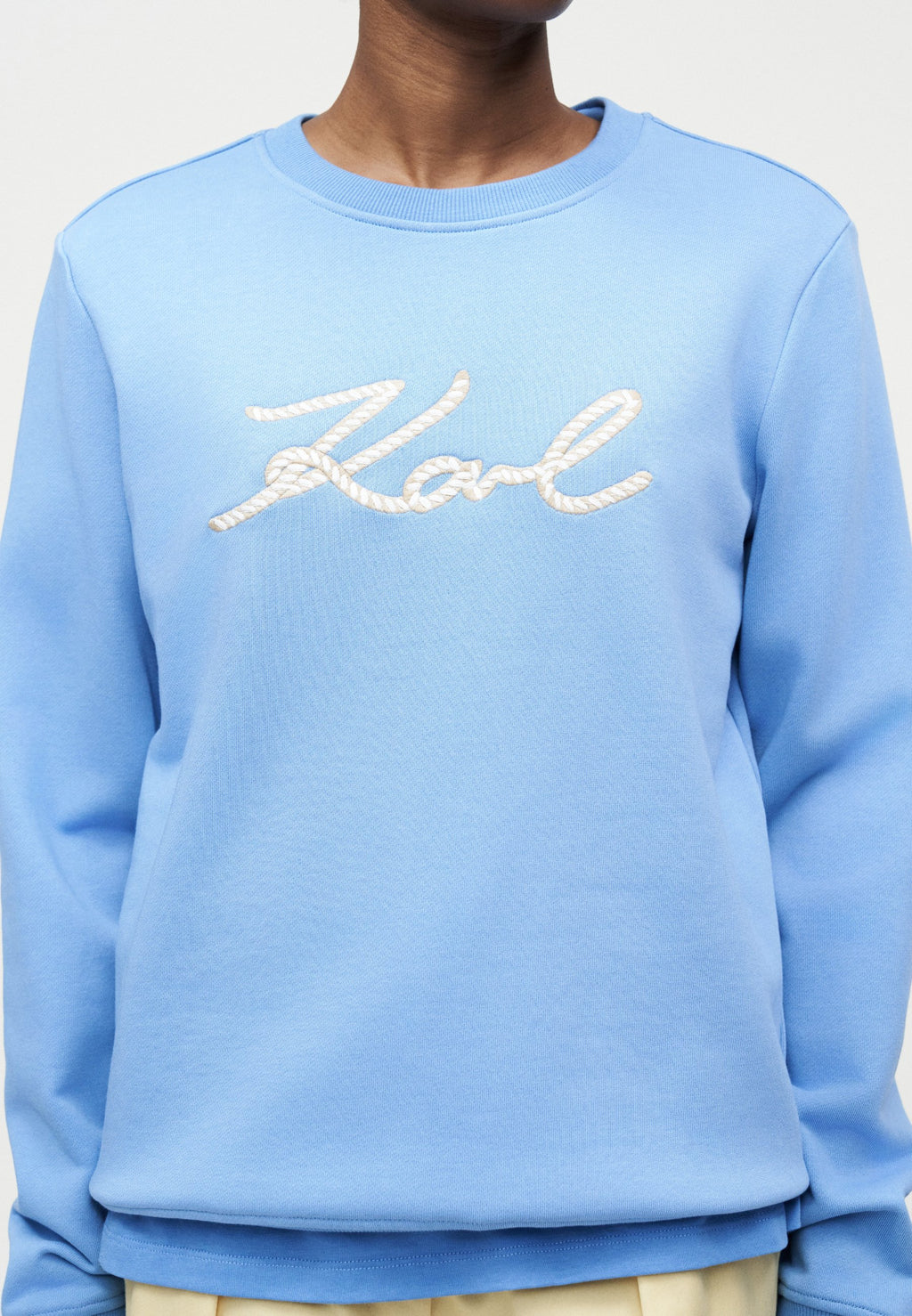 ROPE LOGO - Sweatshirt - silver-coloured lake blue