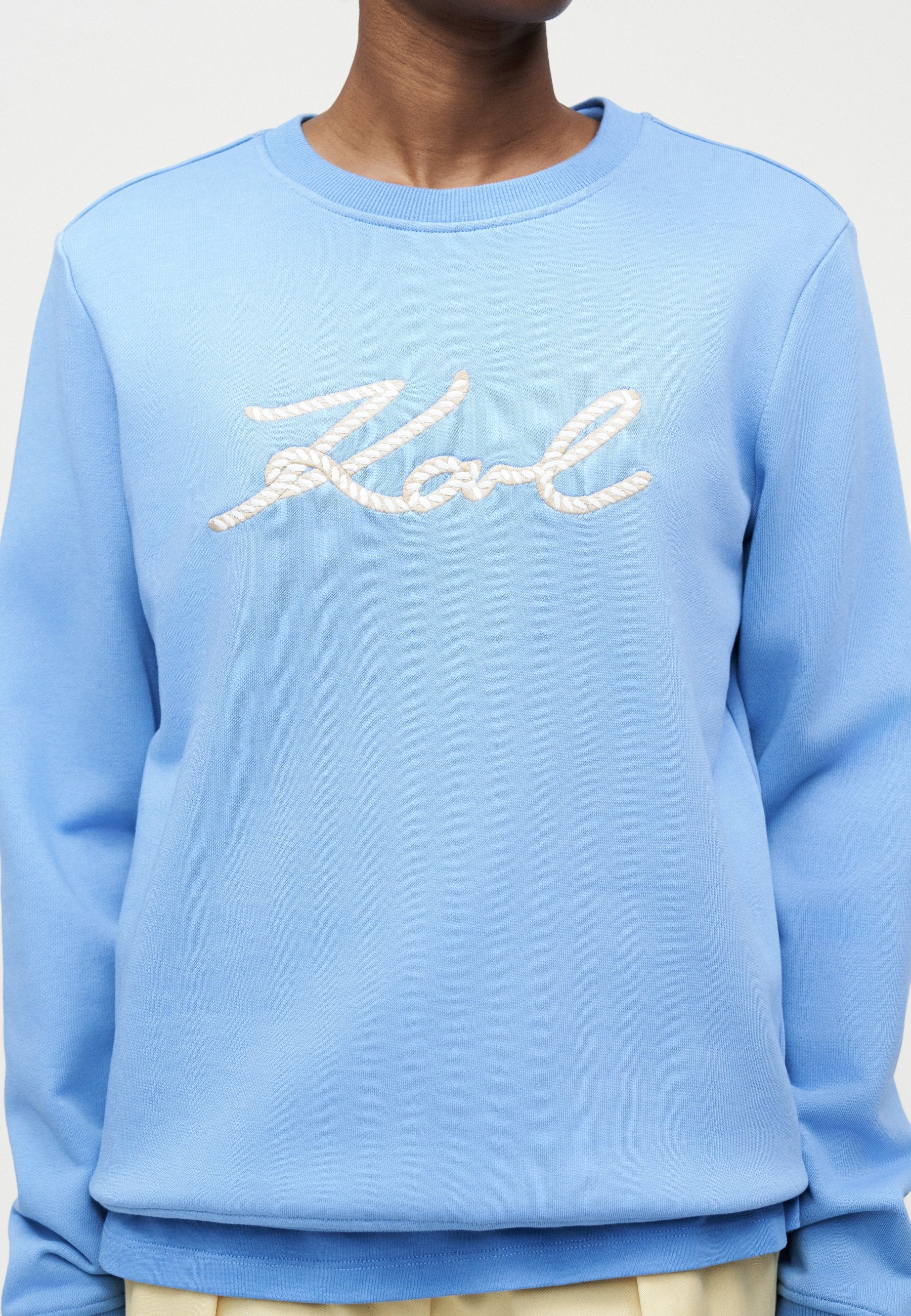 ROPE LOGO - Sweatshirt - silver-coloured lake blue