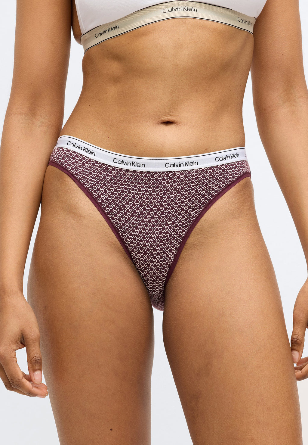 MODERN LOGO 3 PACK  - Briefs - innuendo/dark berry