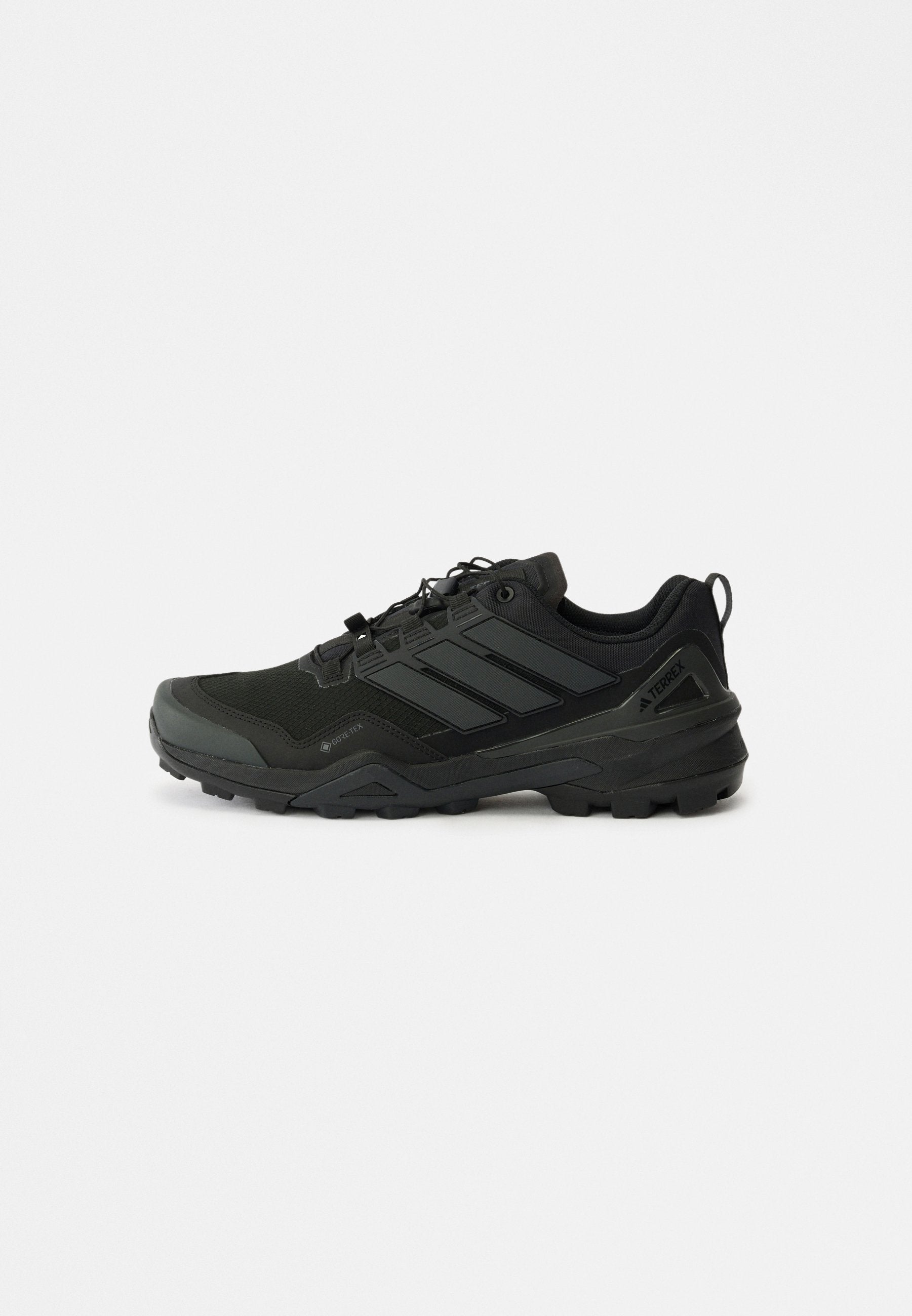 TERREX SKYCHASER GORE-TEX HIKING SHOES - Hiking shoes - core black/core black
