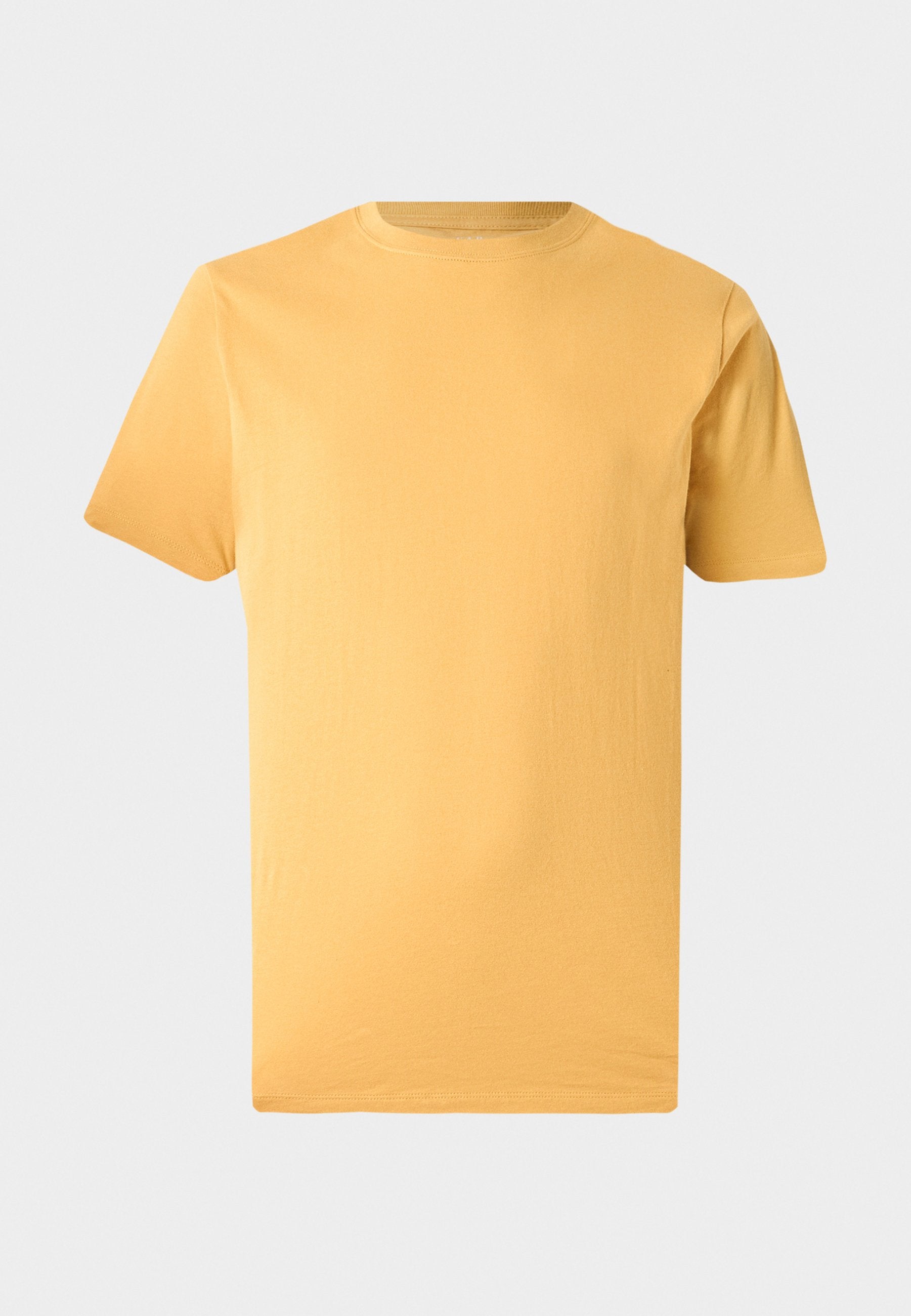 EVERYDAY SOFT CREW  - Basic T-shirt - amber wave