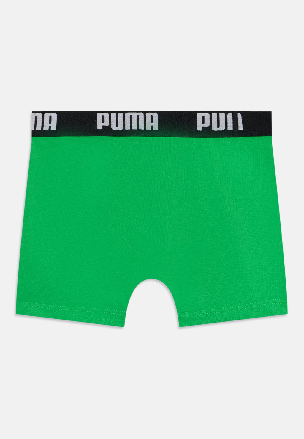 BOYS EVERYDAY BASIC BOXERS 6 PACK - Trunks - blue/green