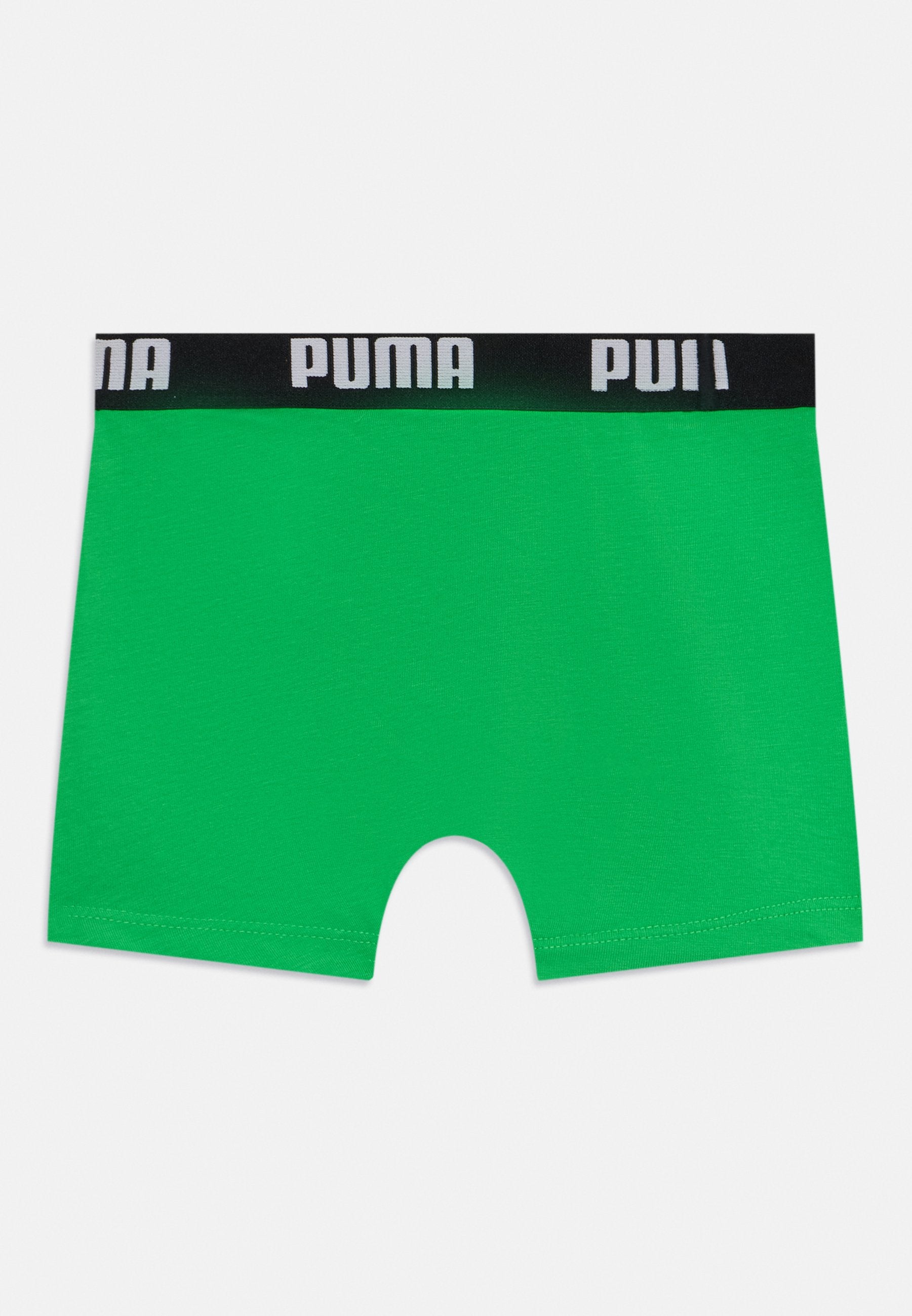 BOYS EVERYDAY BASIC BOXERS 6 PACK - Trunks - blue/green