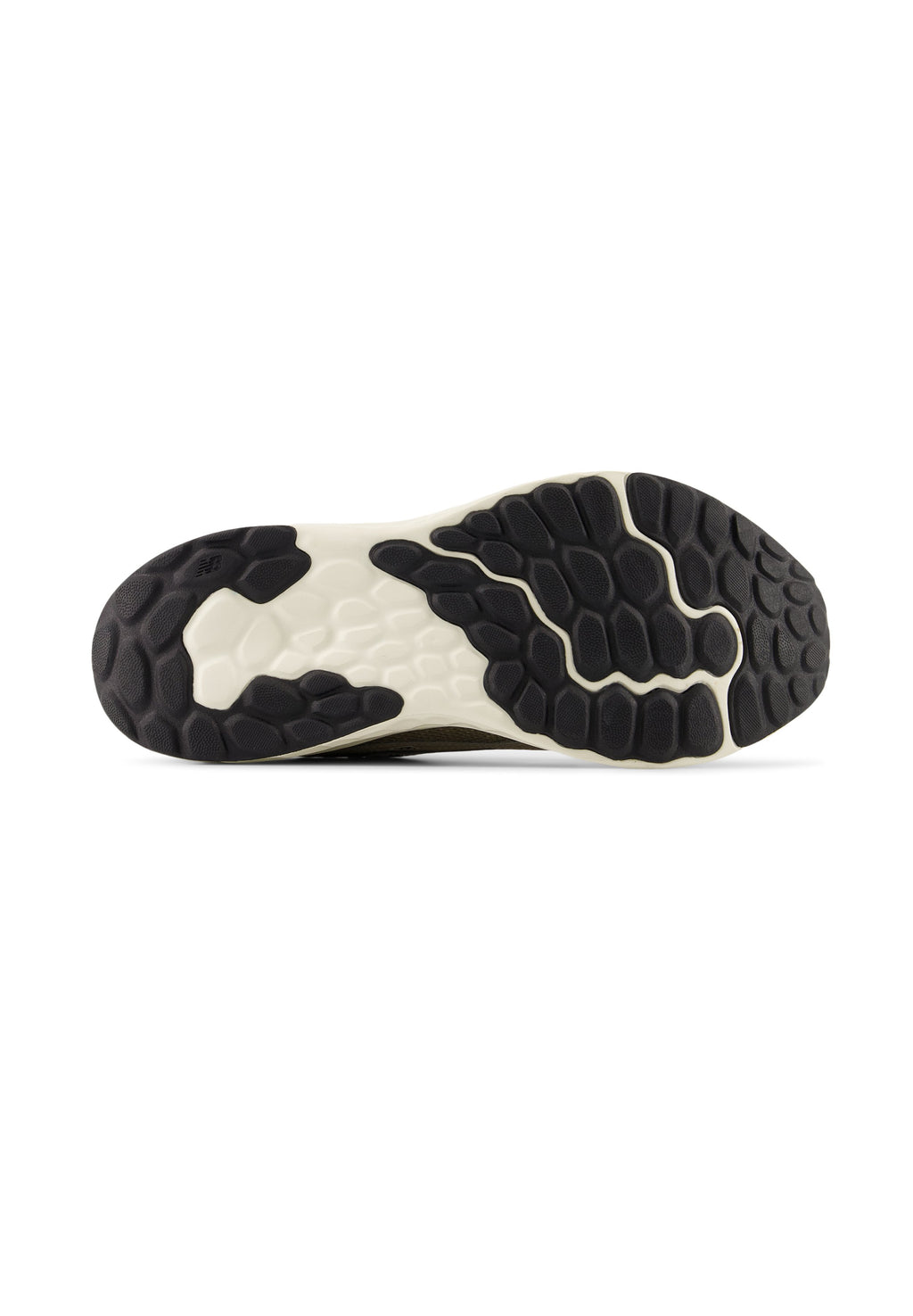 FRESH FOAM ARISHI V4 - Road running shoes - thunder brown