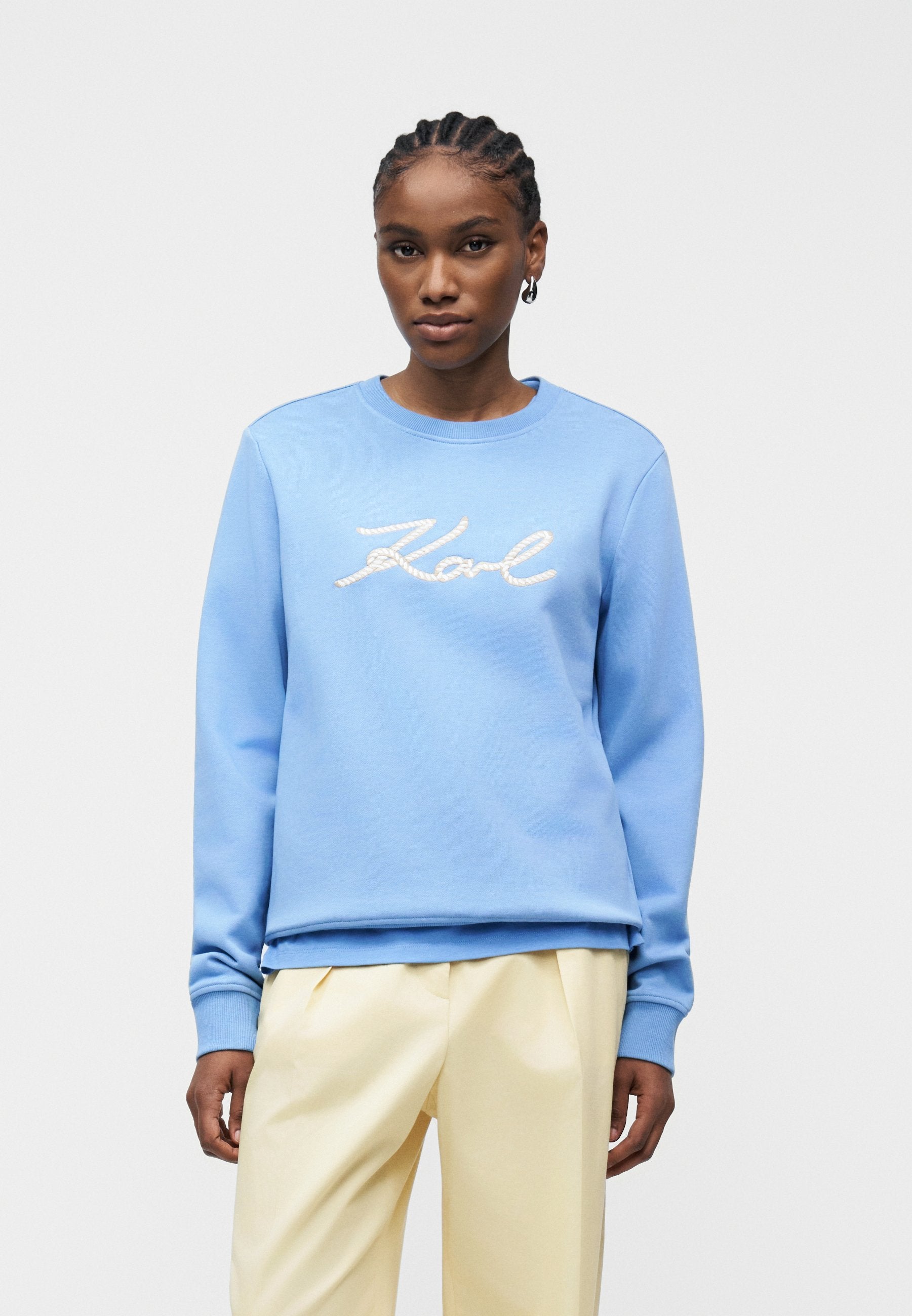 ROPE LOGO - Sweatshirt - silver-coloured lake blue