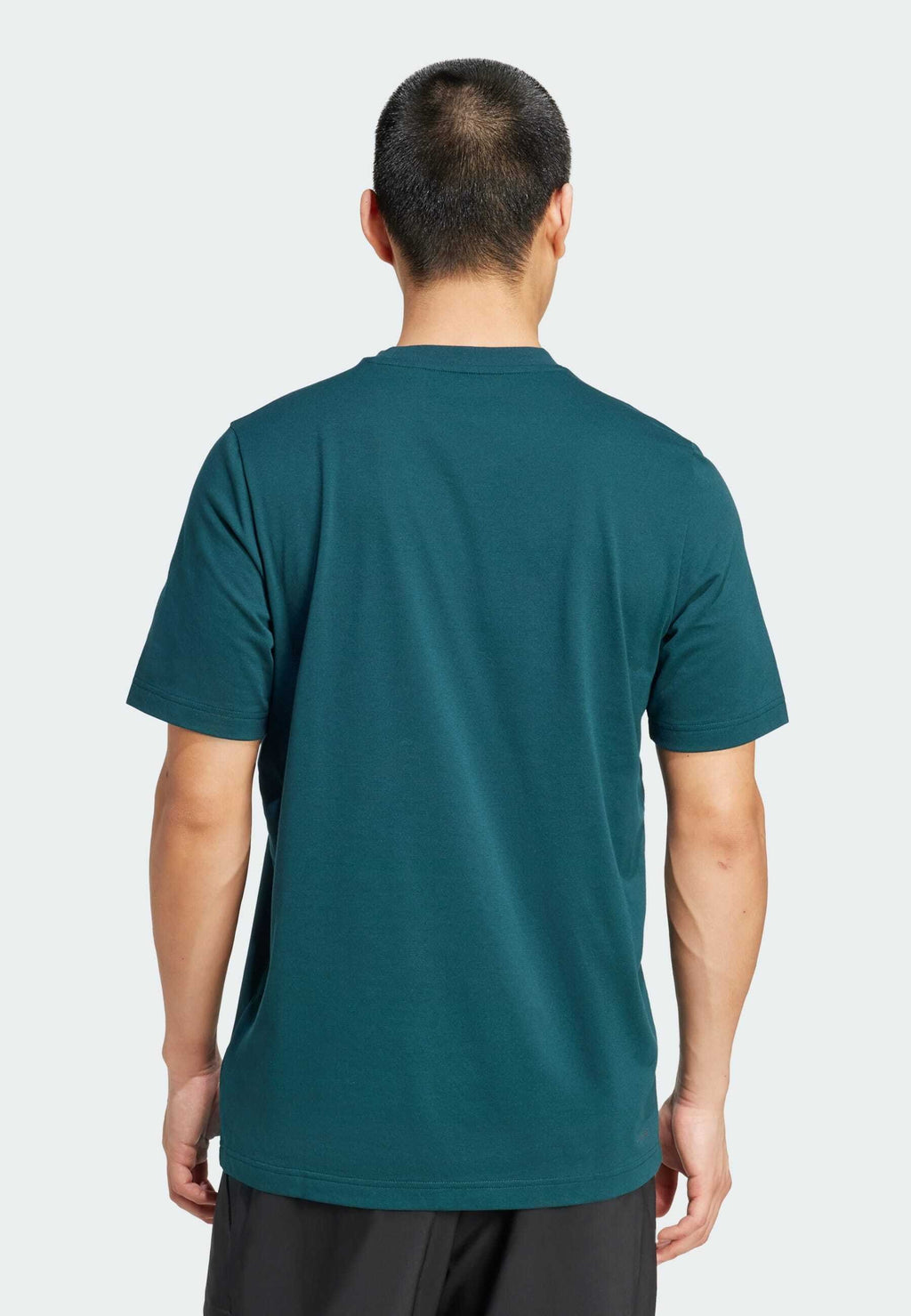 ADIDAS HERITAGE GRAPHIC T. - Sports T-shirt - aurora ivy