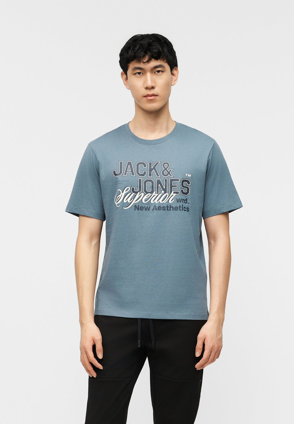 JJELOGO TEE O NECK 5 PACK - Print T-shirt - vetiver/blue mirage/mineral blue/atlantic deep/navy blazer