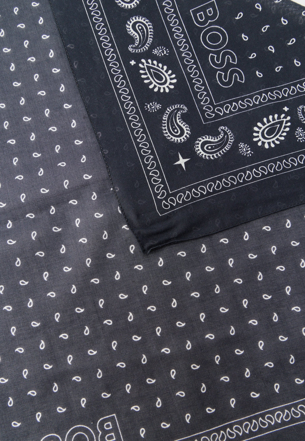 LORICE - Foulard - black