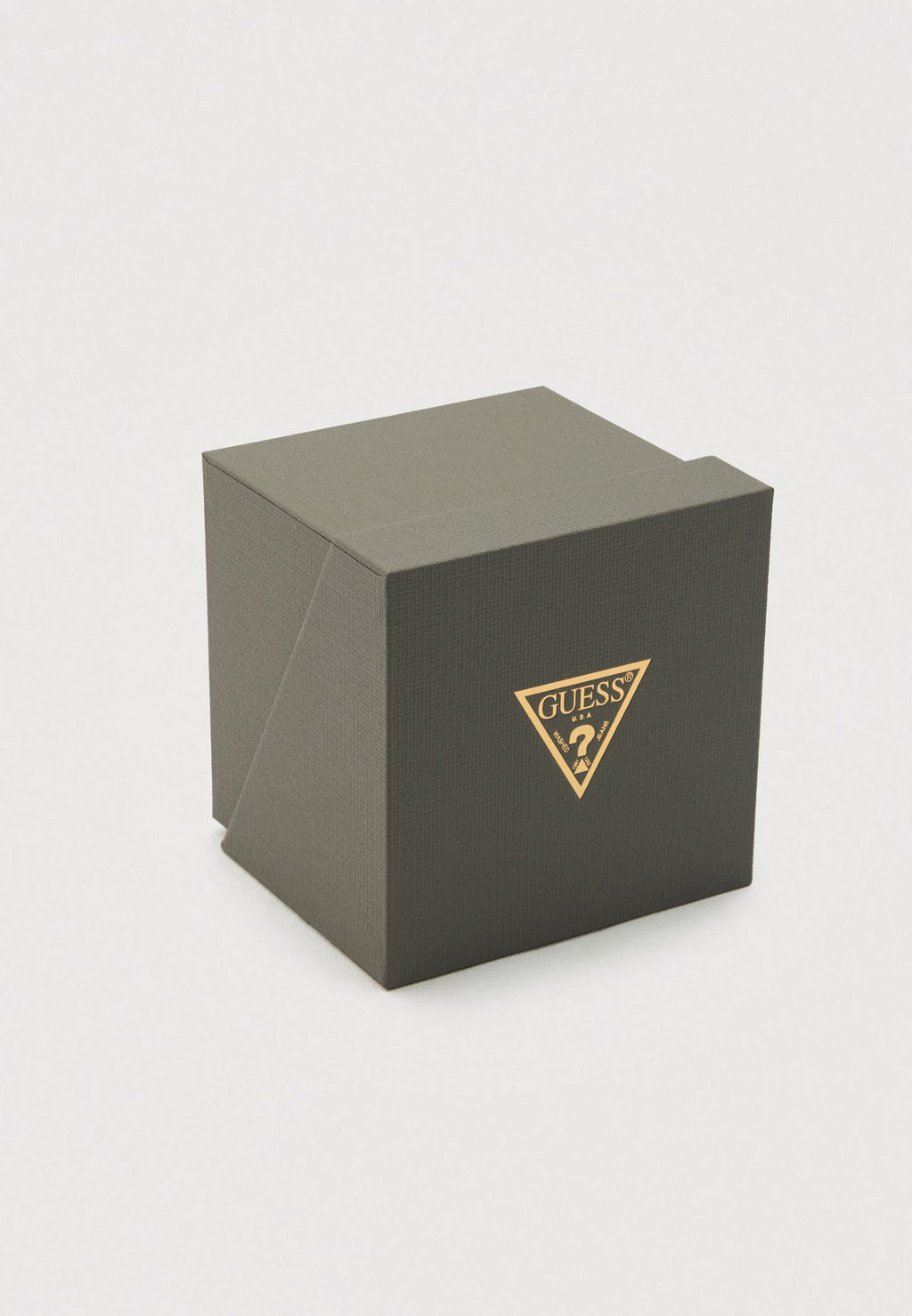 CHARLOTTE - Watch - silver-coloured