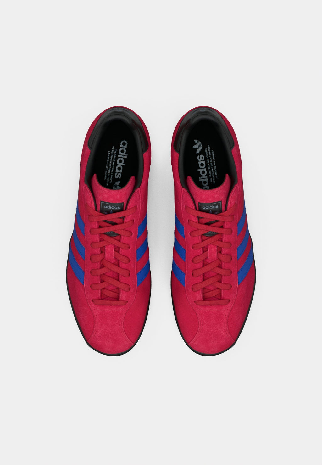 GAZELLE INDOOR PRO UNISEX - Trainers - team victory red/core black
