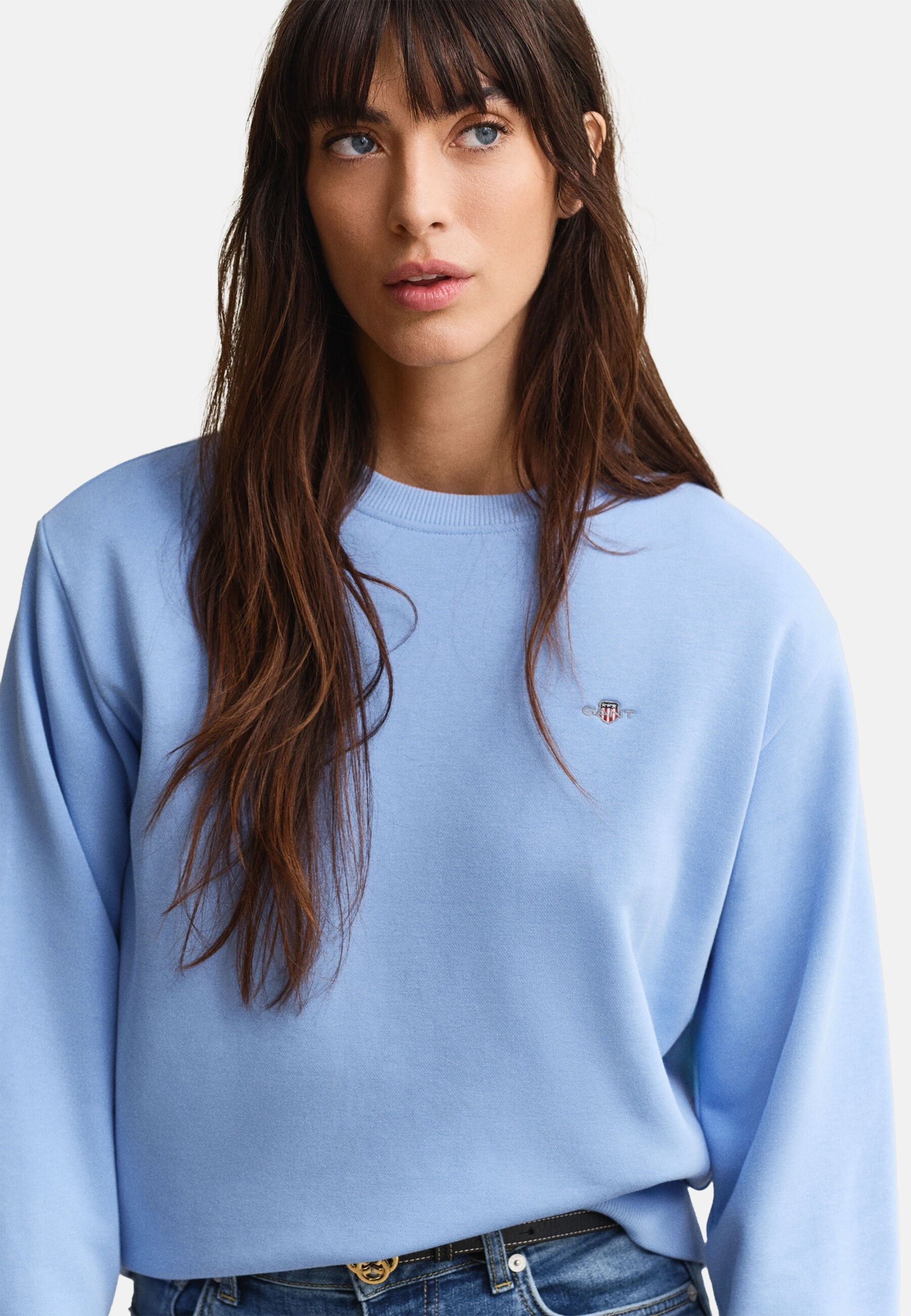 SHIELD - Sweatshirt - palace blue