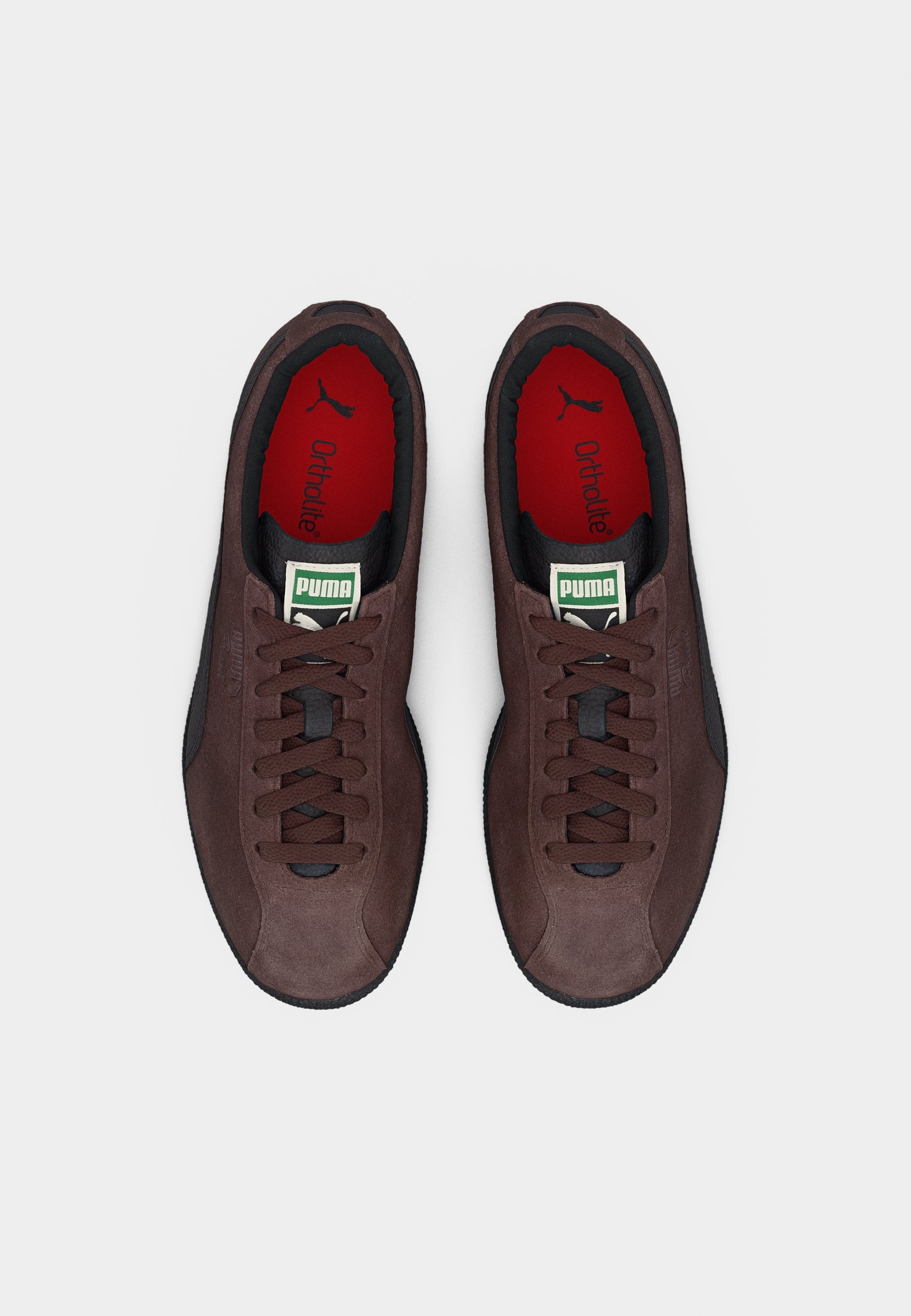 BRASIL UNISEX - Trainers - chocolate brown/black