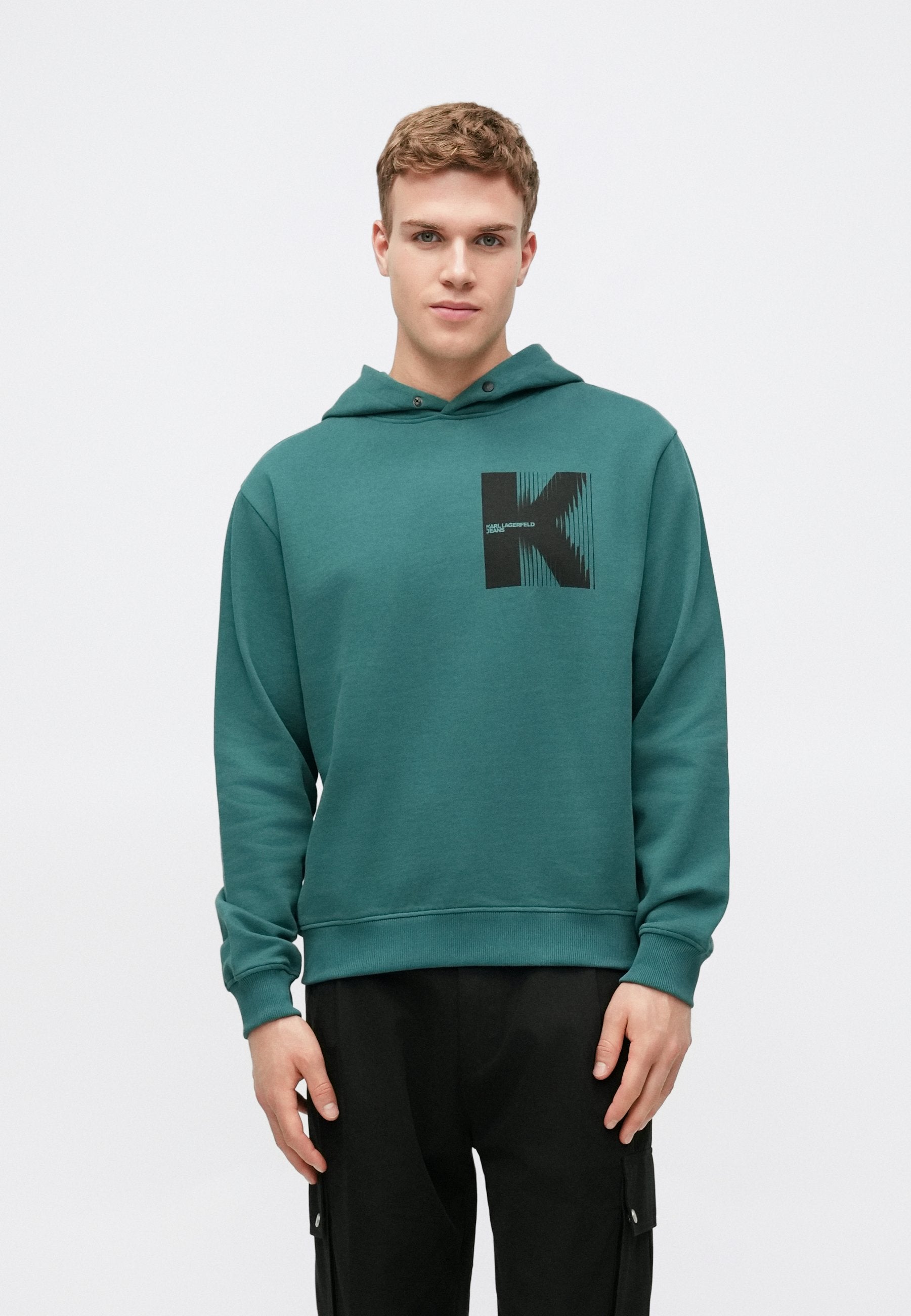 PULL À CAPUCHE LOGO - Sweat à capuche - Baume