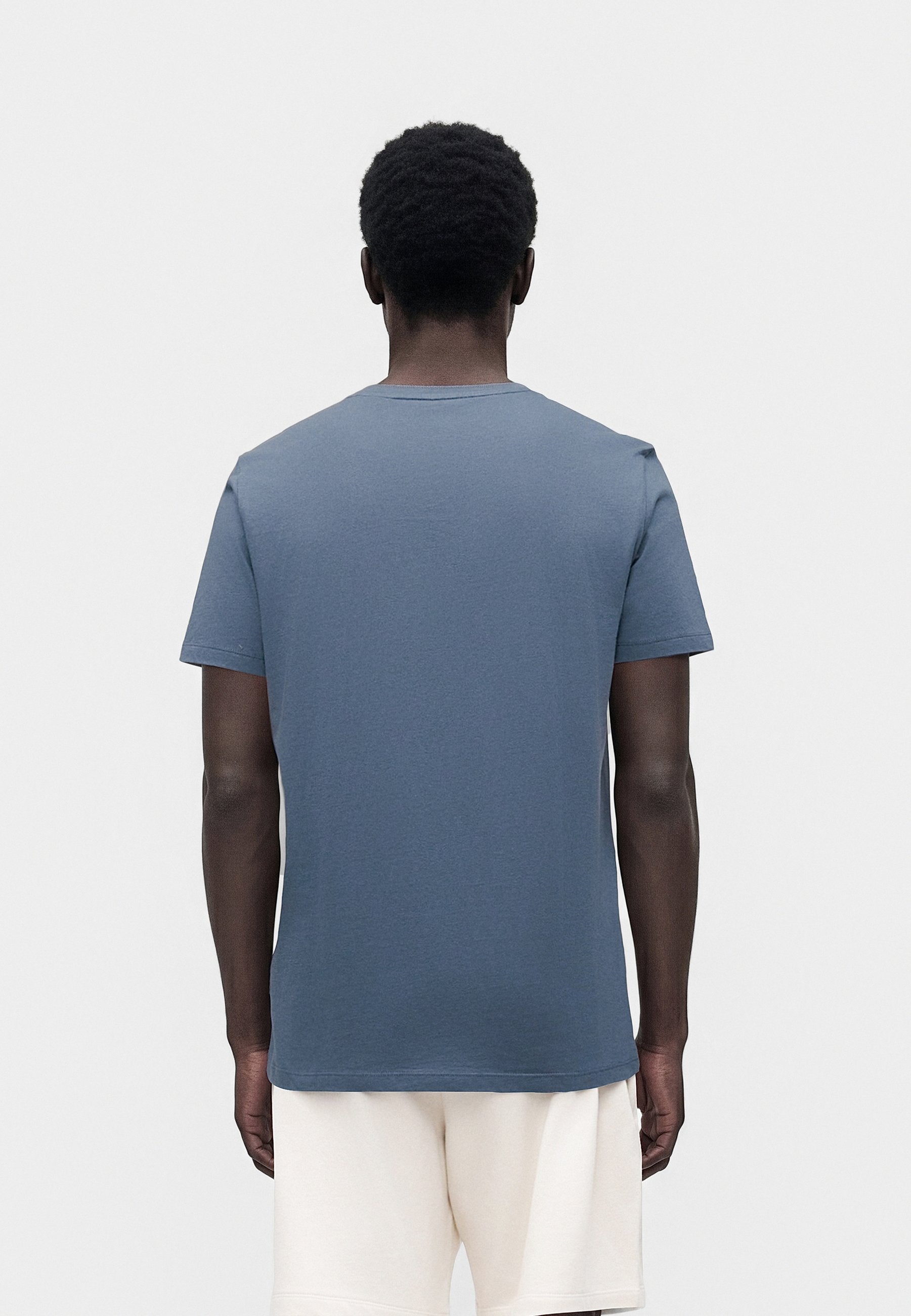 CLASSIC - Basic T-shirt - frozen lake