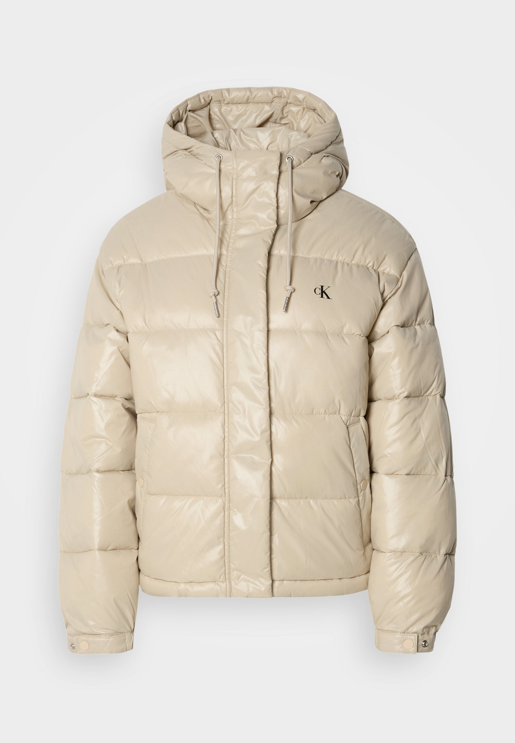 SHINE JACKET - Winter jacket - island fossil