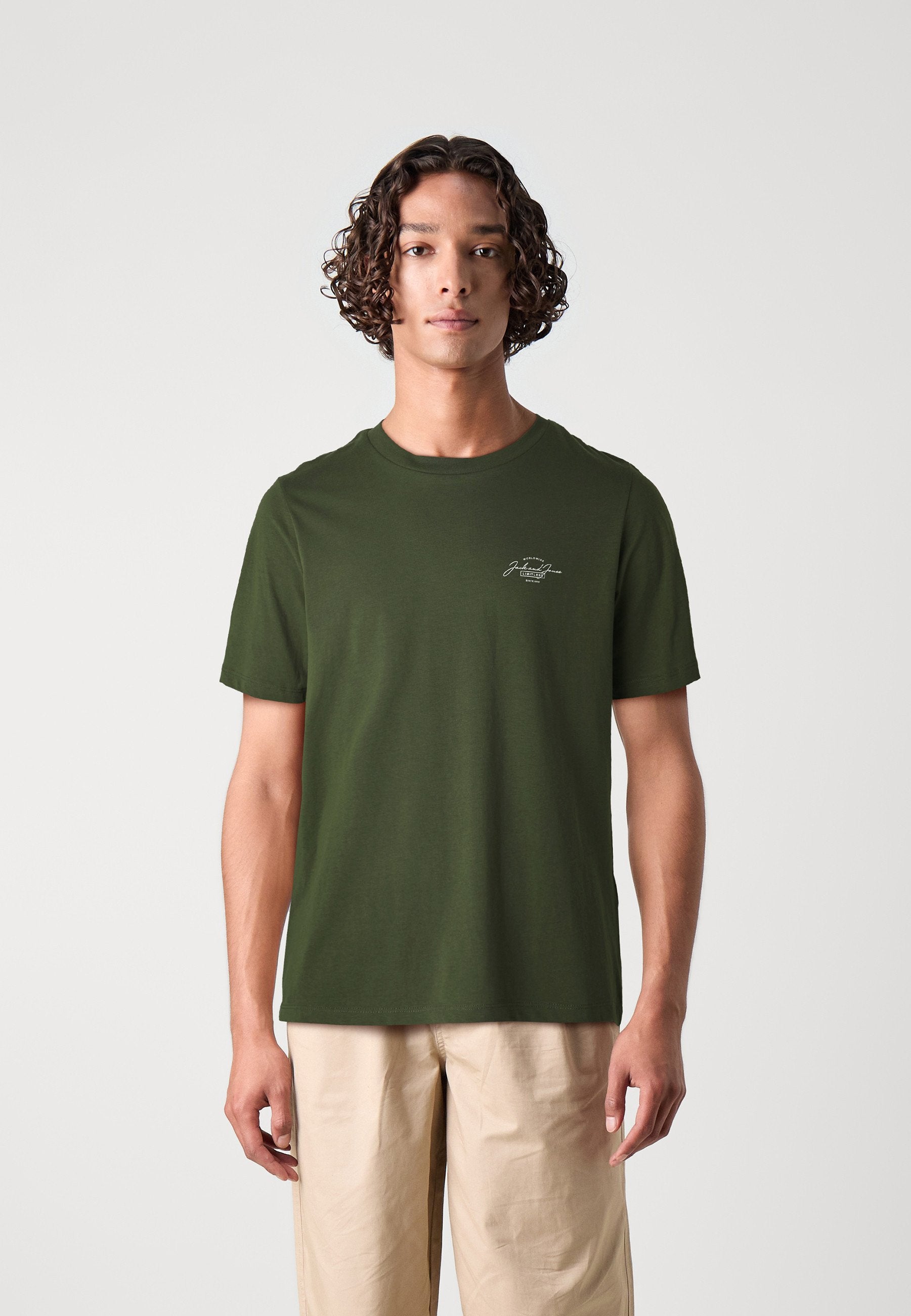 JJFERRIS TEE CREW NECK 3 PACK - Basic T-shirt - green/white/black