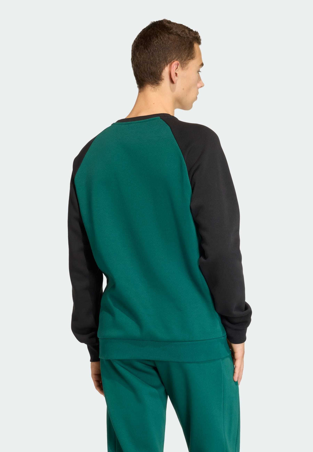 STRIPES CREW - Sweatshirt - collegiate green/black