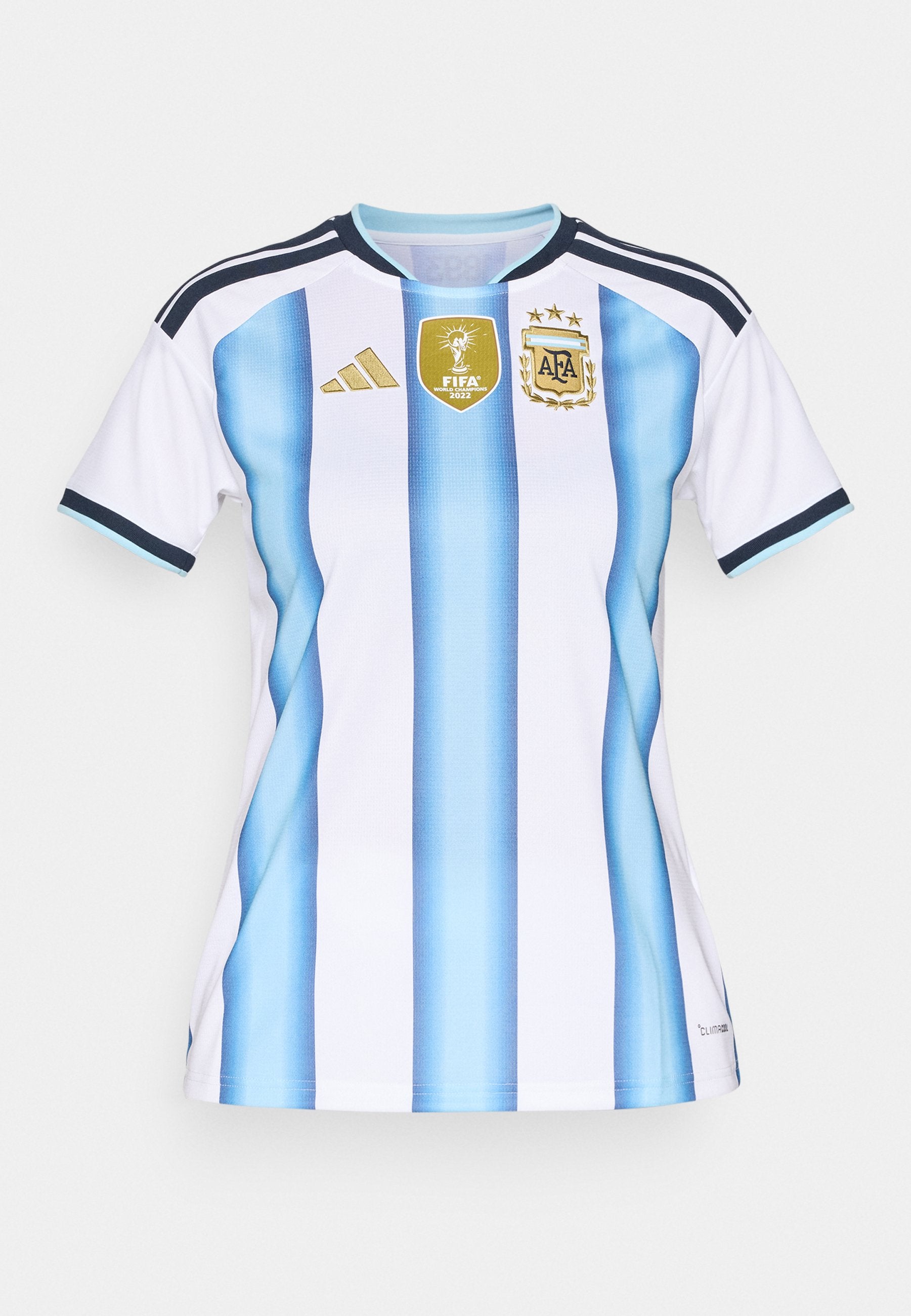 ARGENTINA 26 HOME - National team wear - white/icey blue/light blue