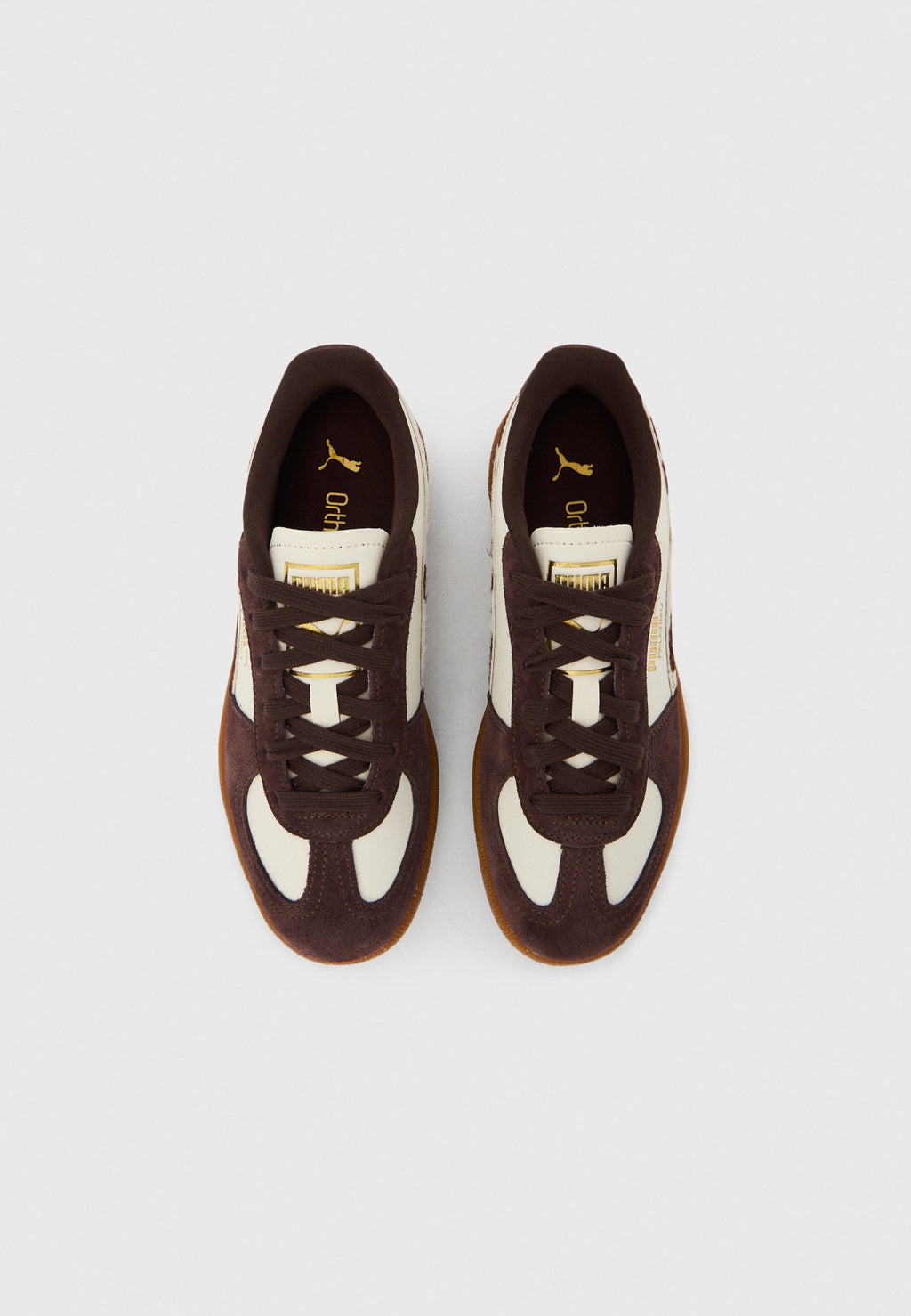 PALERMO - Trainers - warm white/chocolate brown