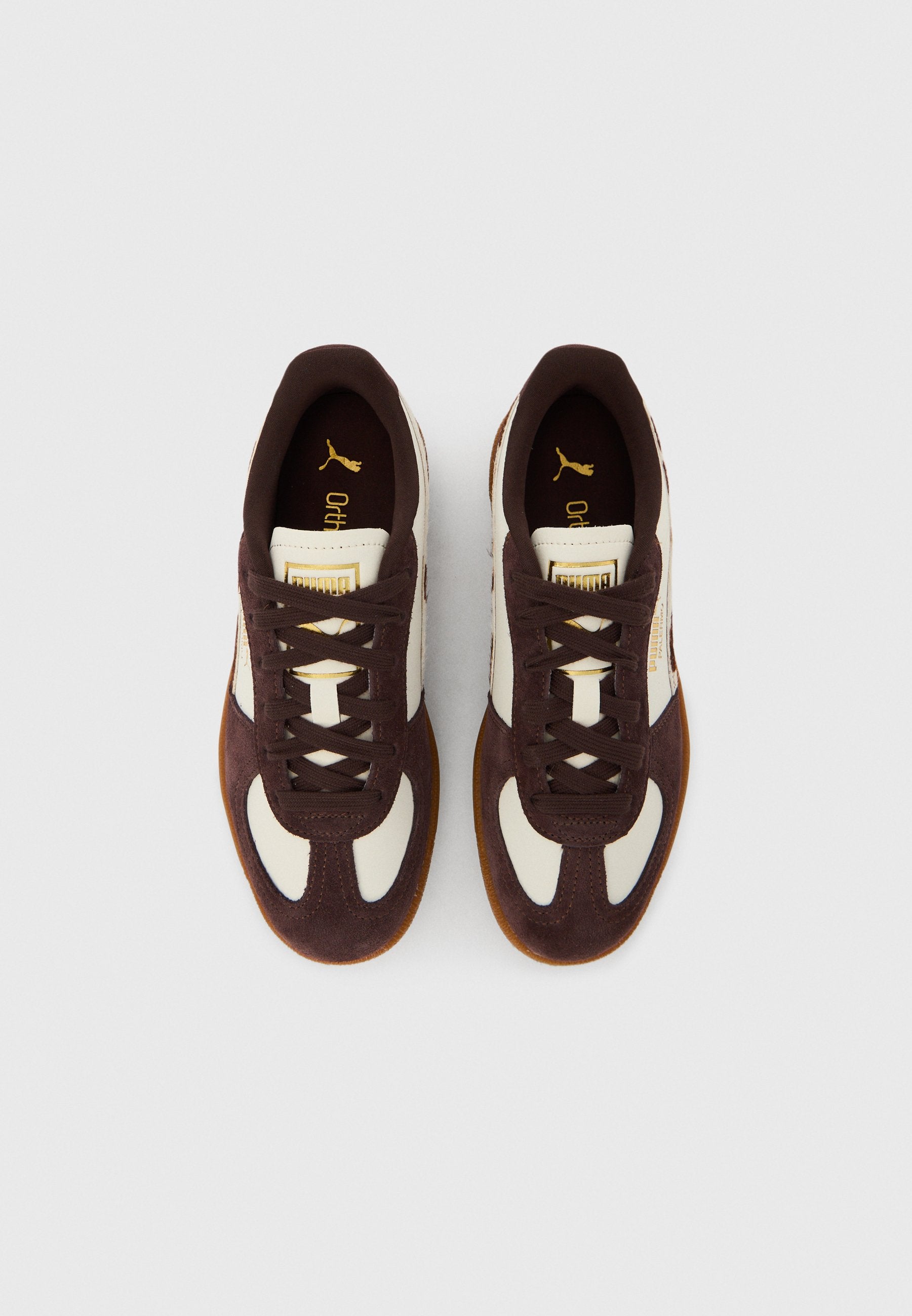 PALERMO - Trainers - warm white/chocolate brown