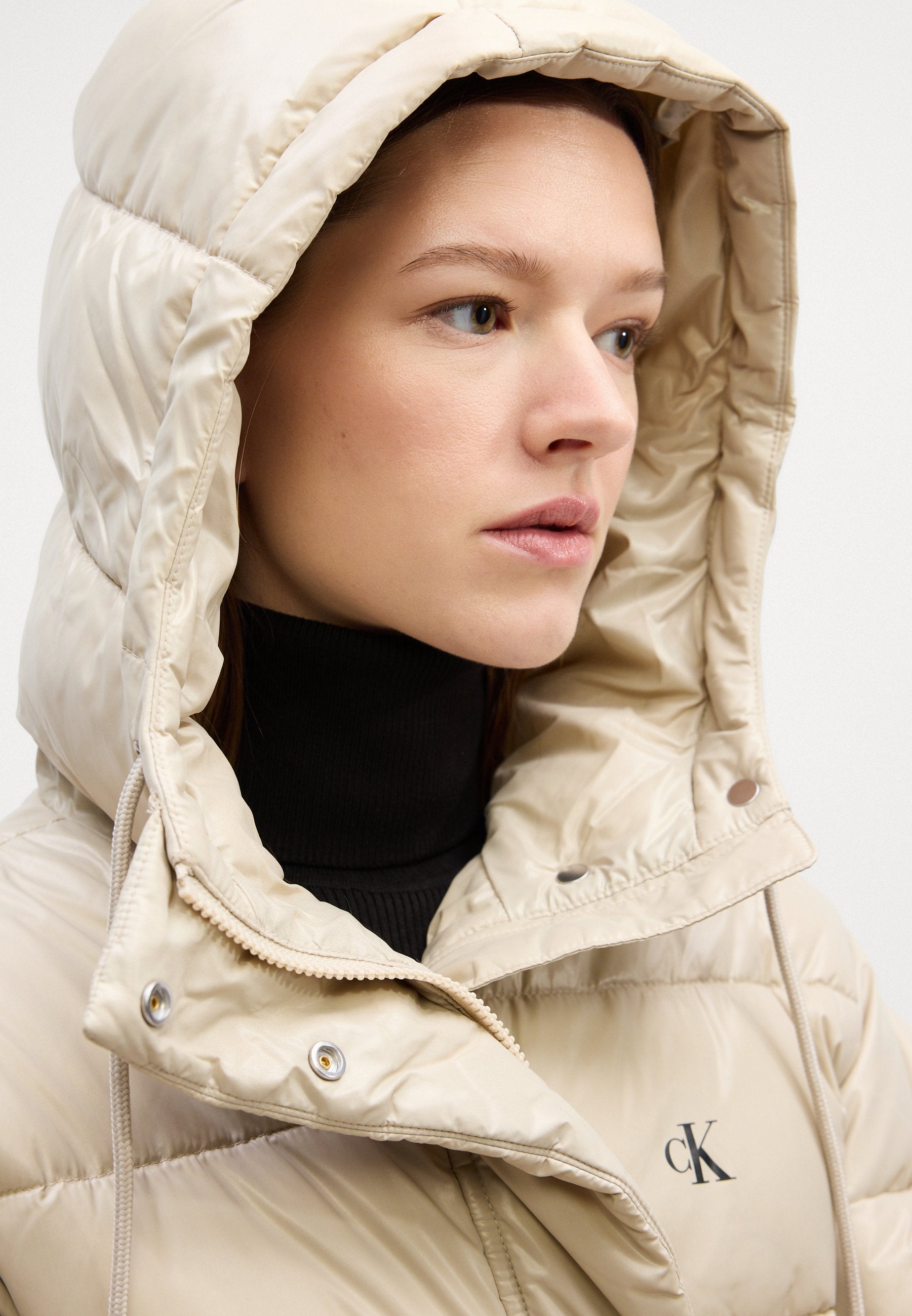 SHINE JACKET - Winter jacket - island fossil