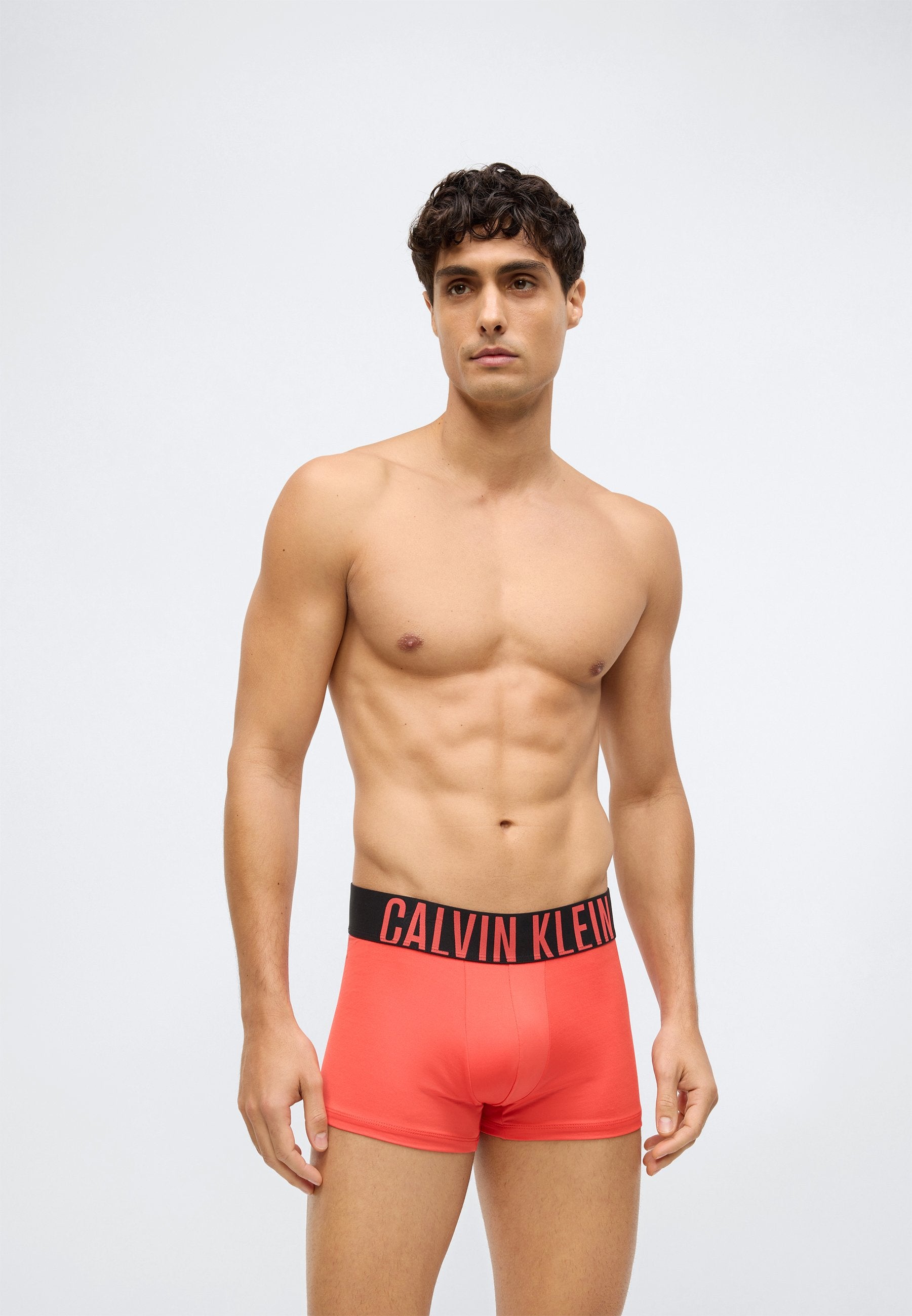 TRUNK 3 PACK INTENSE POWER MICROFIBER - Trunks - black/turbulence/vermillion brown
