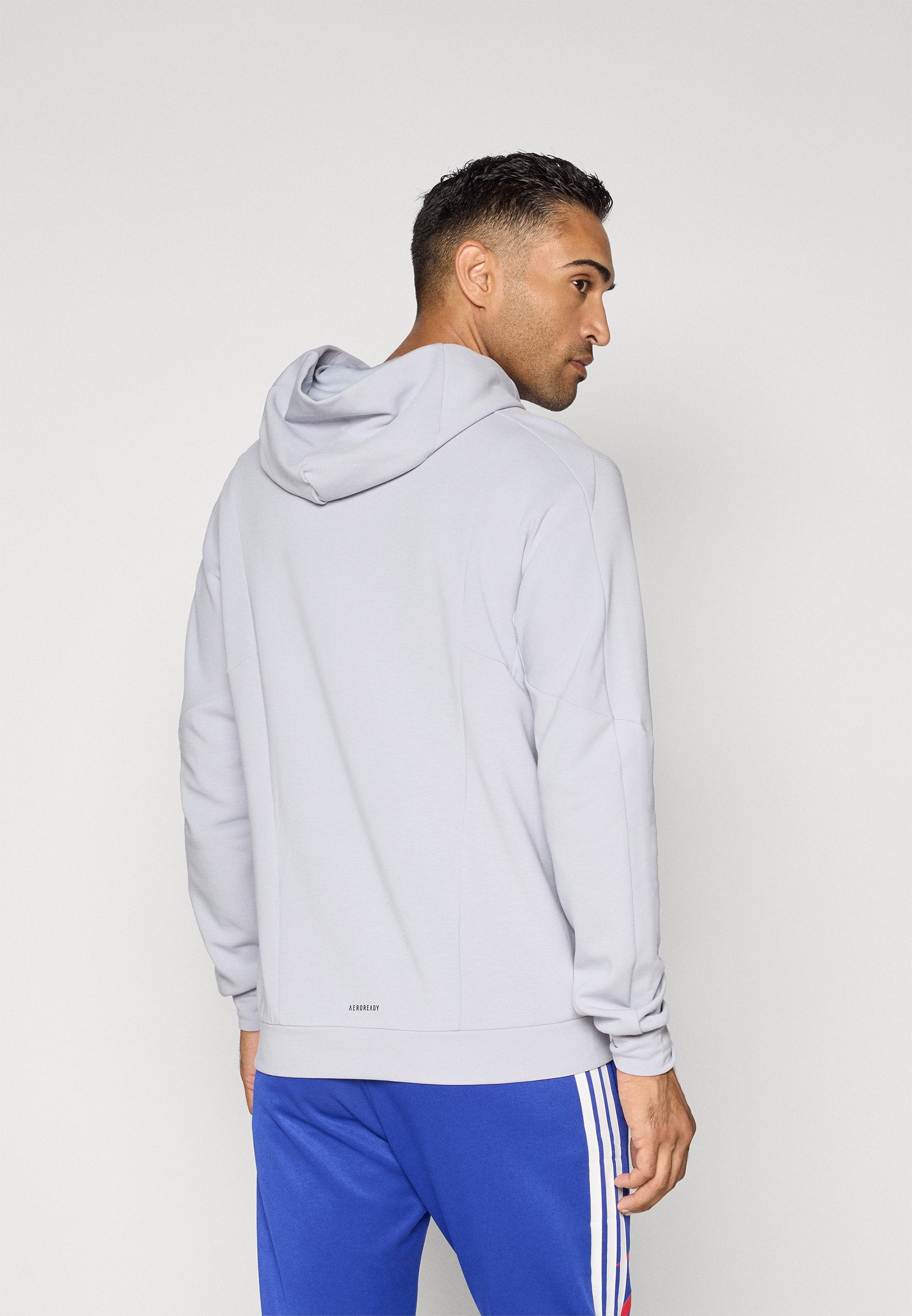 HOODIE - Hoodie - halo silver-coloured