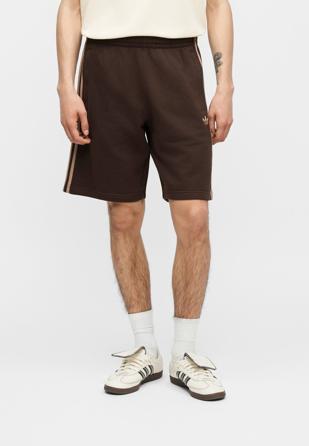 Shorts - aurora coffee