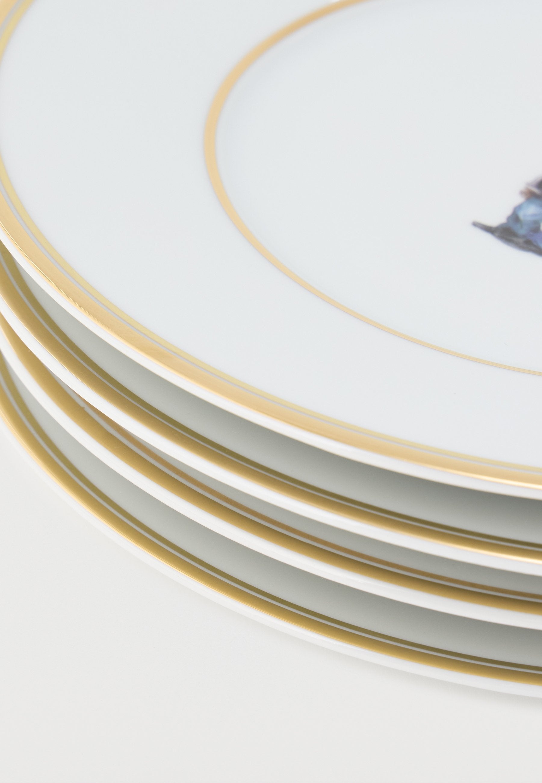 WILSHIRE TUXEDO 4 PACK - Plate - white/gold-coloured