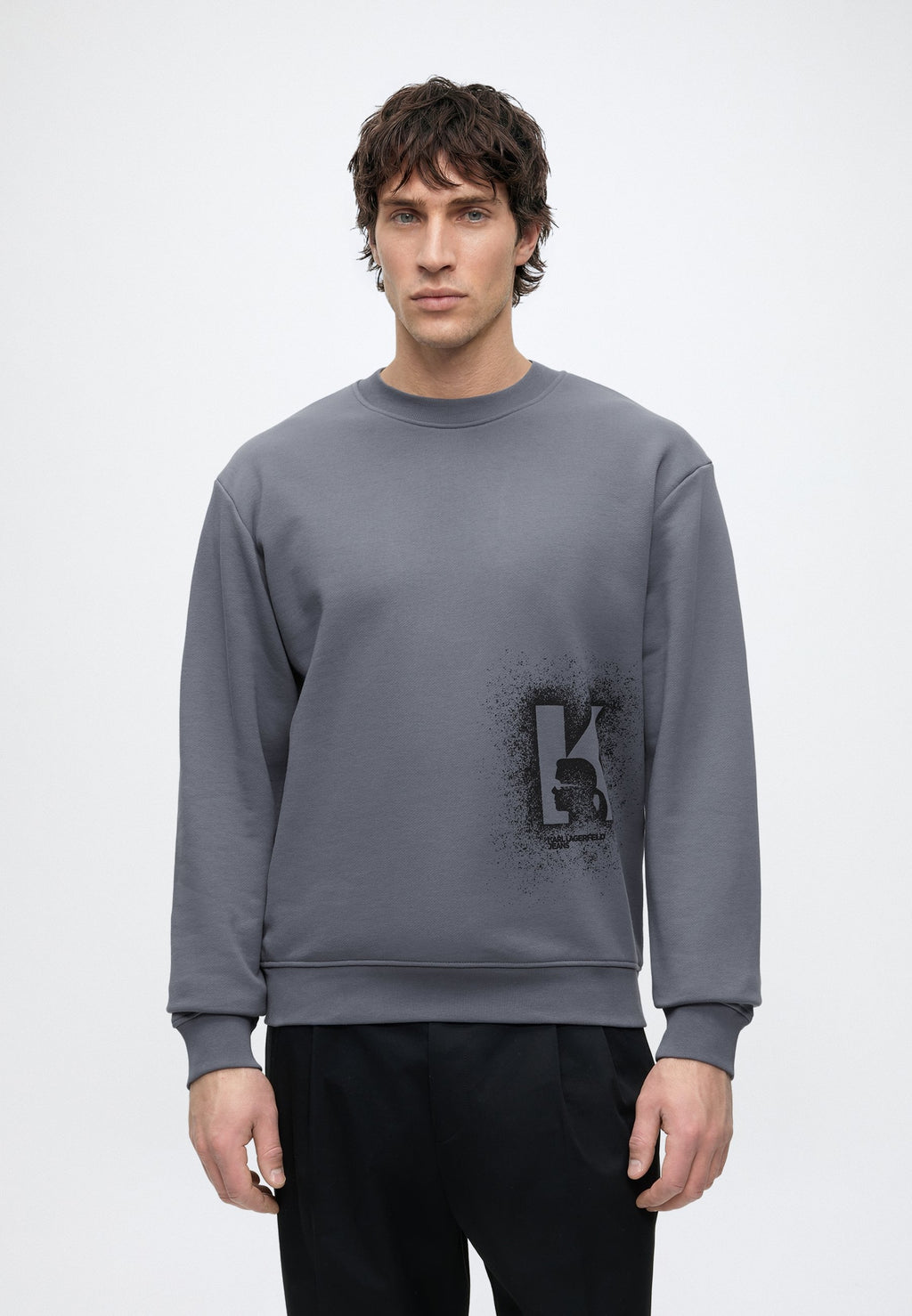 REG LOGO SWEAT - Sweatshirt - grisaille