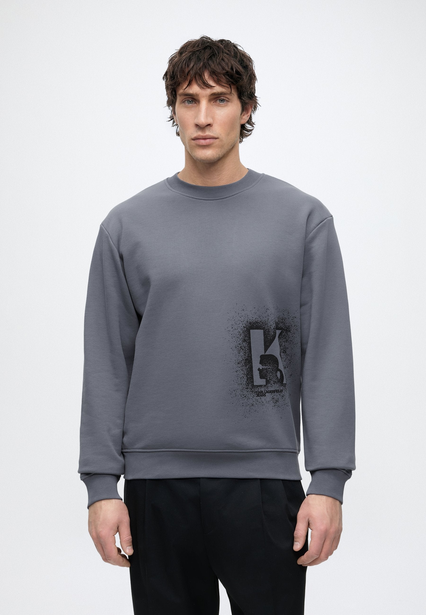REG LOGO SWEAT - Sweatshirt - grisaille