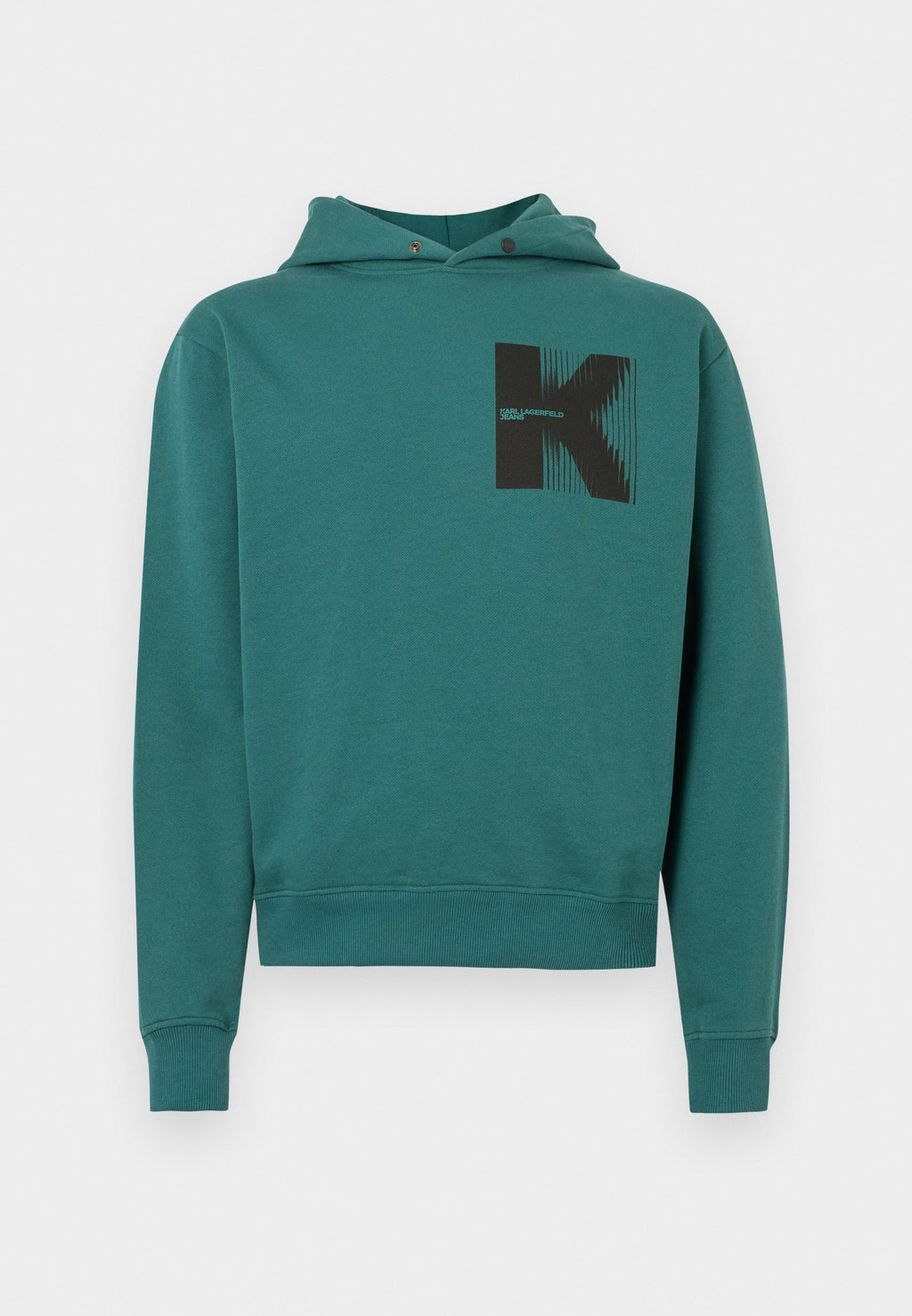 PULL À CAPUCHE LOGO - Sweat à capuche - Baume