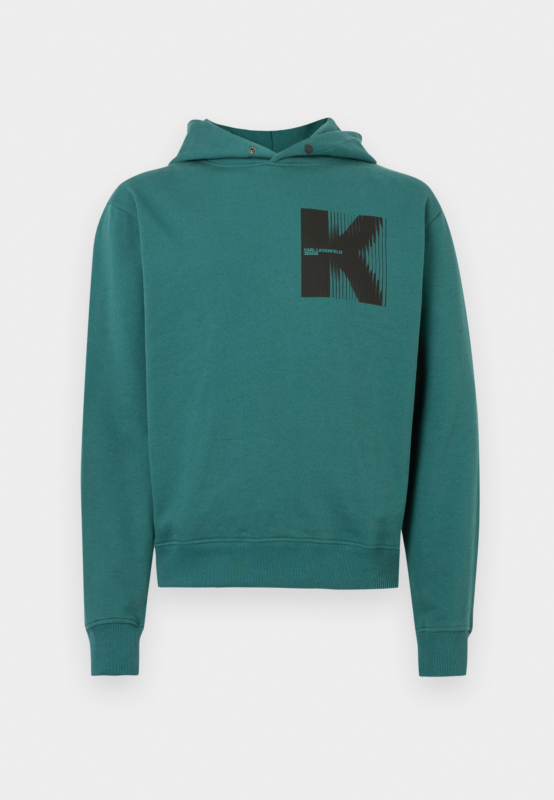 PULL À CAPUCHE LOGO - Sweat à capuche - Baume