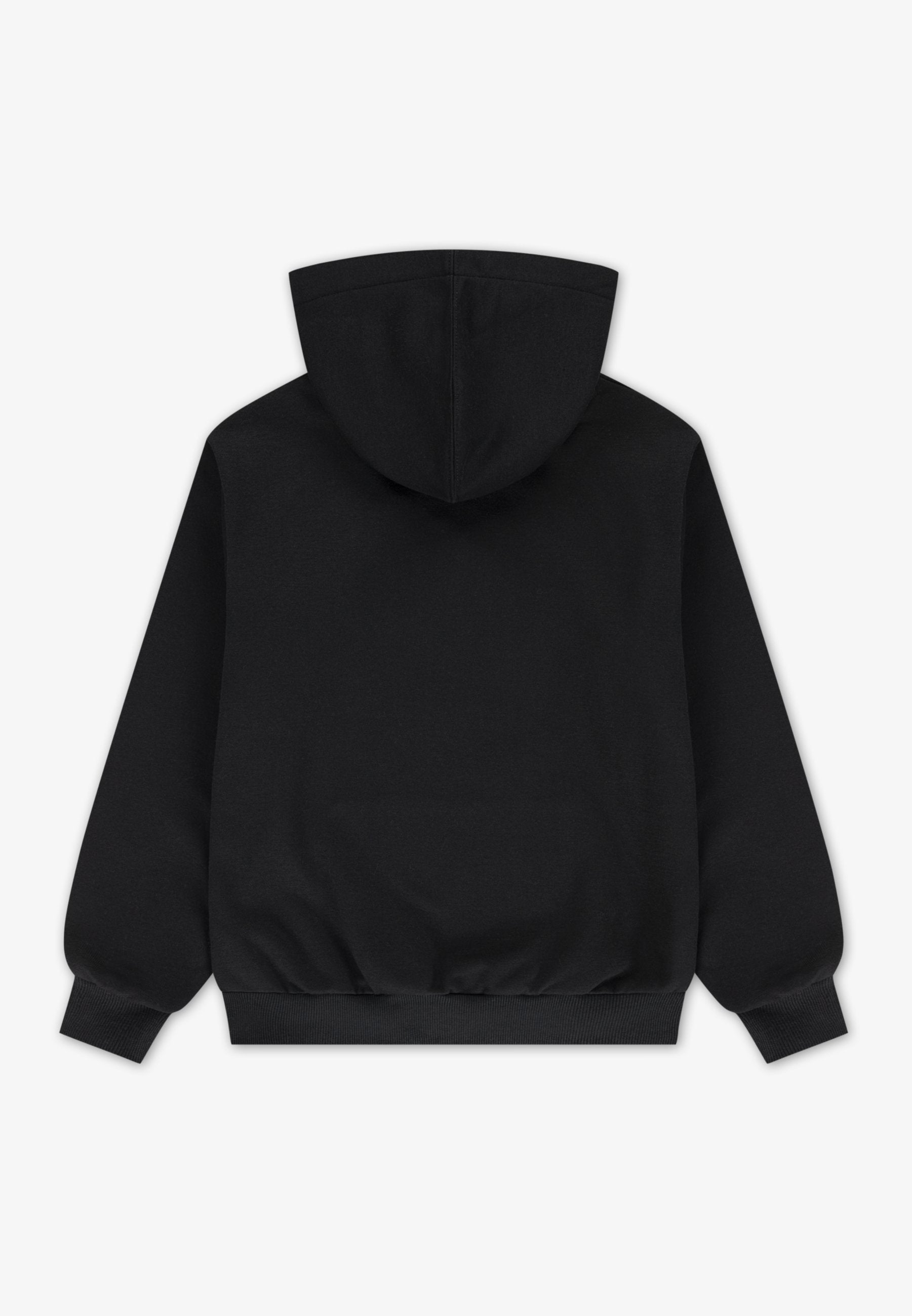 DISSECTED  - Hoodie - black/dark matter